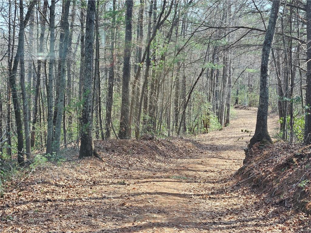 1827 Willis Gap Road, Unit 104 Ararat, VA 24053 - Photo 5 of 18