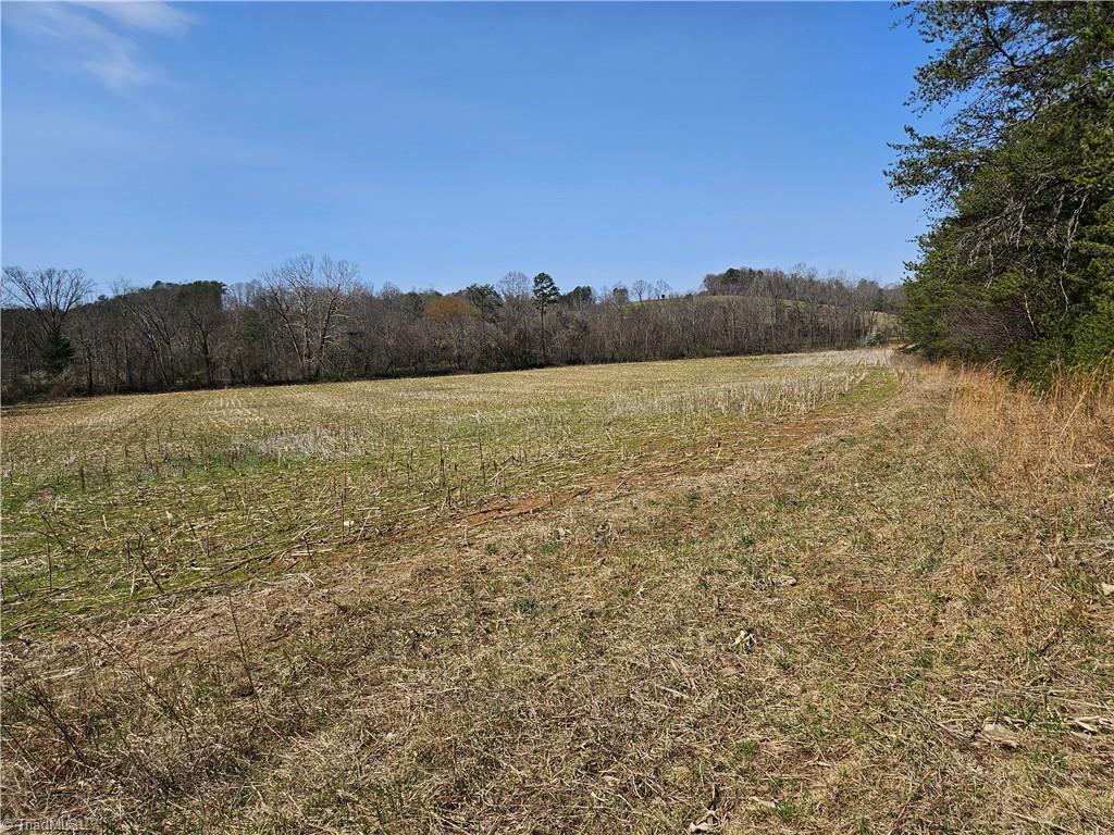 1827 Willis Gap Road, Unit 104 Ararat, VA 24053 - Photo 6 of 18