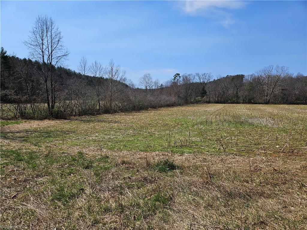 1827 Willis Gap Road, Unit 104 Ararat, VA 24053 - Photo 7 of 18