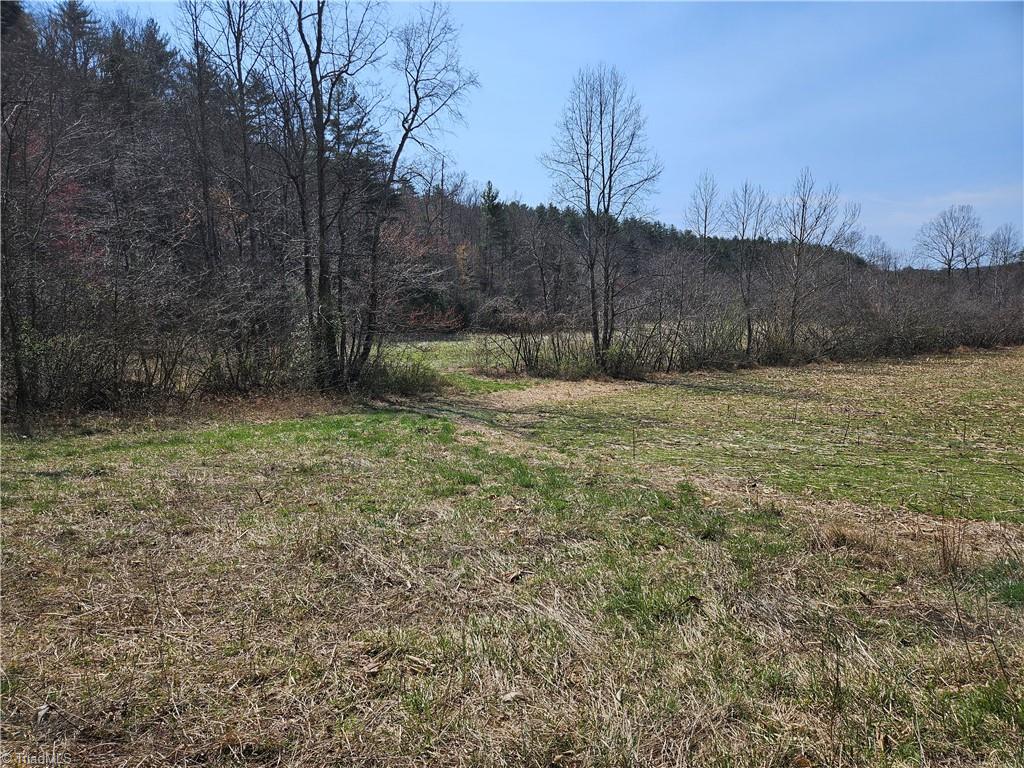 1827 Willis Gap Road, Unit 104 Ararat, VA 24053 - Photo 8 of 18