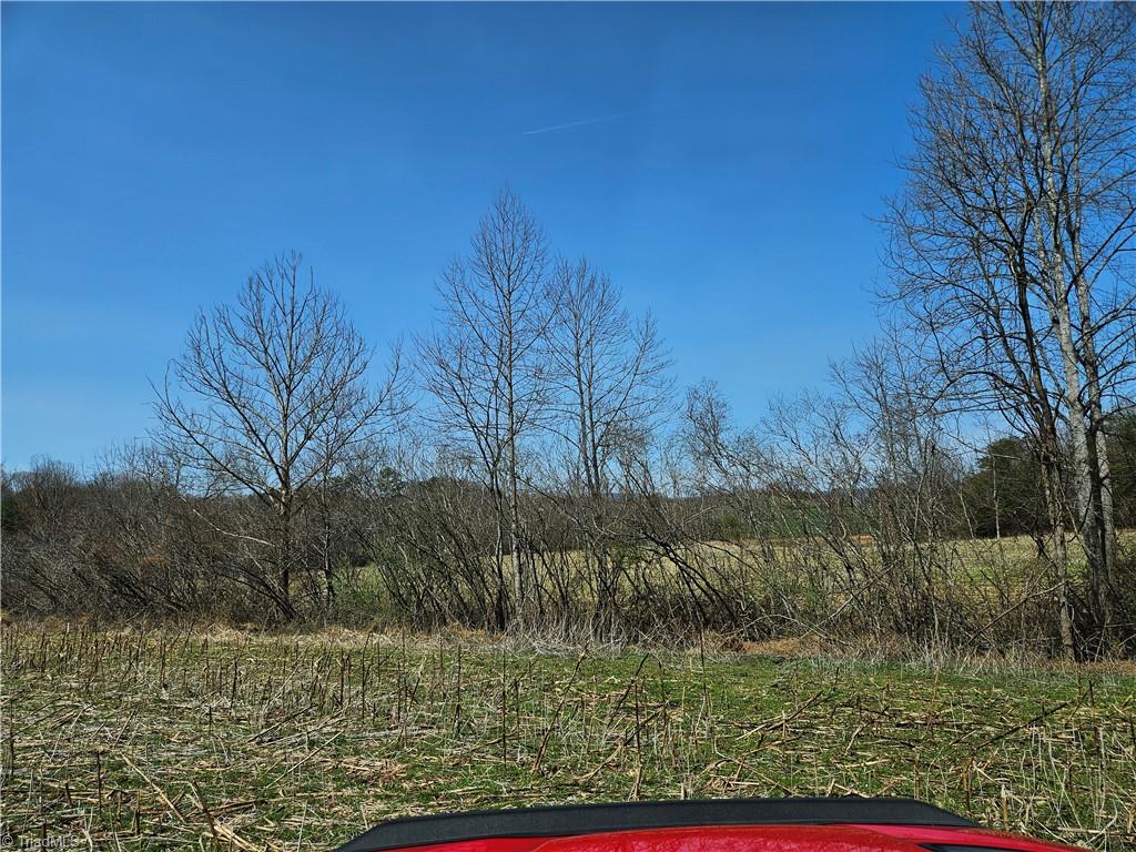 1827 Willis Gap Road, Unit 104 Ararat, VA 24053 - Photo 9 of 18