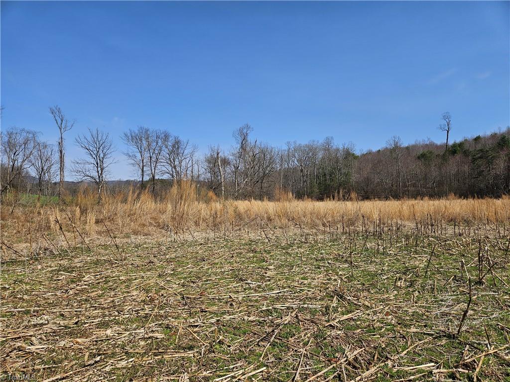 1827 Willis Gap Road, Unit 104 Ararat, VA 24053 - Photo 10 of 18