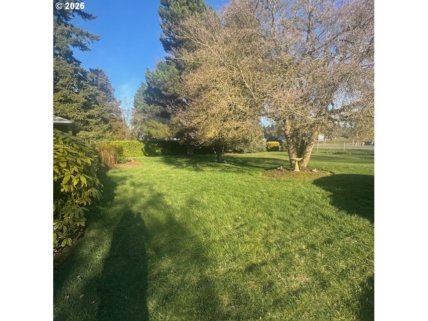 18205 Northwest Reeder Road Portland, OR 97231 - Photo 26 of 35 Front Yard