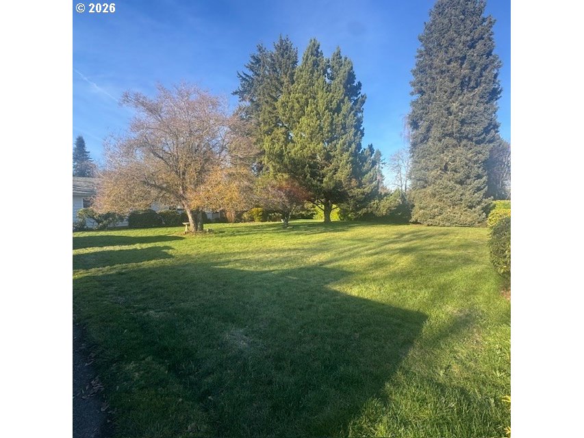 18205 Northwest Reeder Road Portland, OR 97231 - Photo 27 of 35 Front Yard