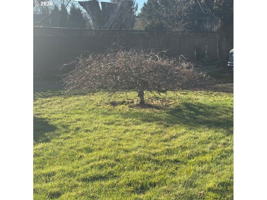 18205 Northwest Reeder Road Portland, OR 97231 - Photo 28 of 35 Front Yard