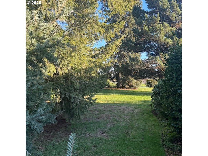 18205 Northwest Reeder Road Portland, OR 97231 - Photo 32 of 35 Yard