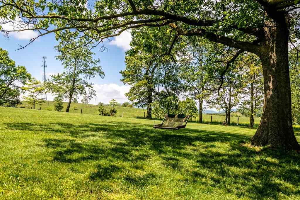 640 Dale Enterprise Road Harrisonburg, VA 22801 - Photo 43 of 50 Gallery Image 43