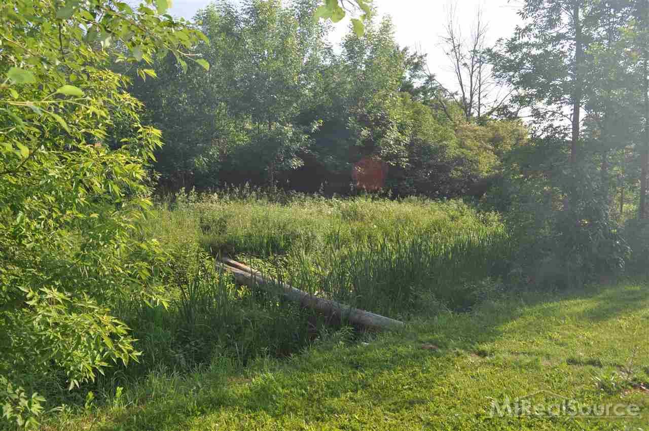 9643 Sparling Road Goodells, MI 48027 - Photo 8 of 24 31199463-7.JPG