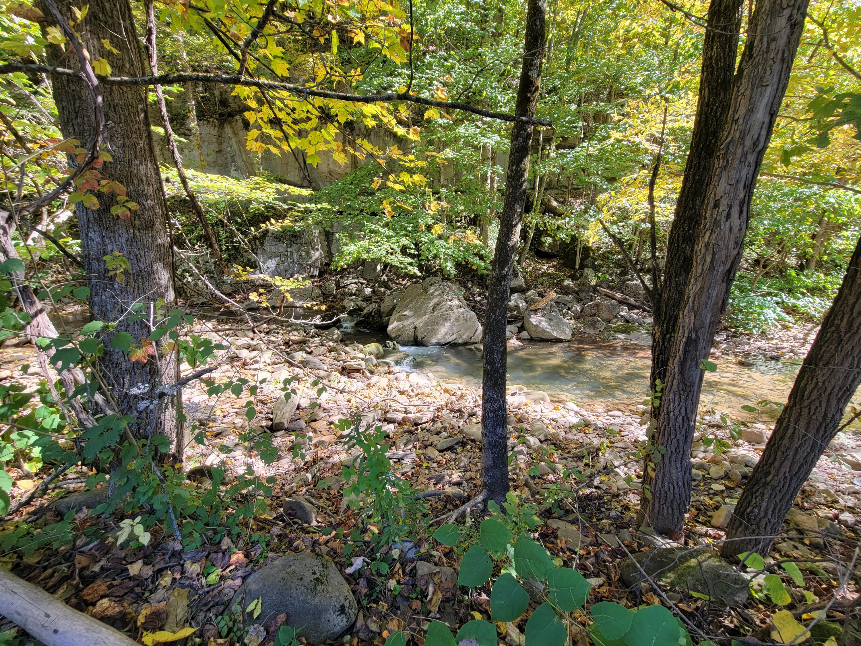 Robins Fork Road Renick, WV 24966 - Photo 10 of 34 Gallery Image 10