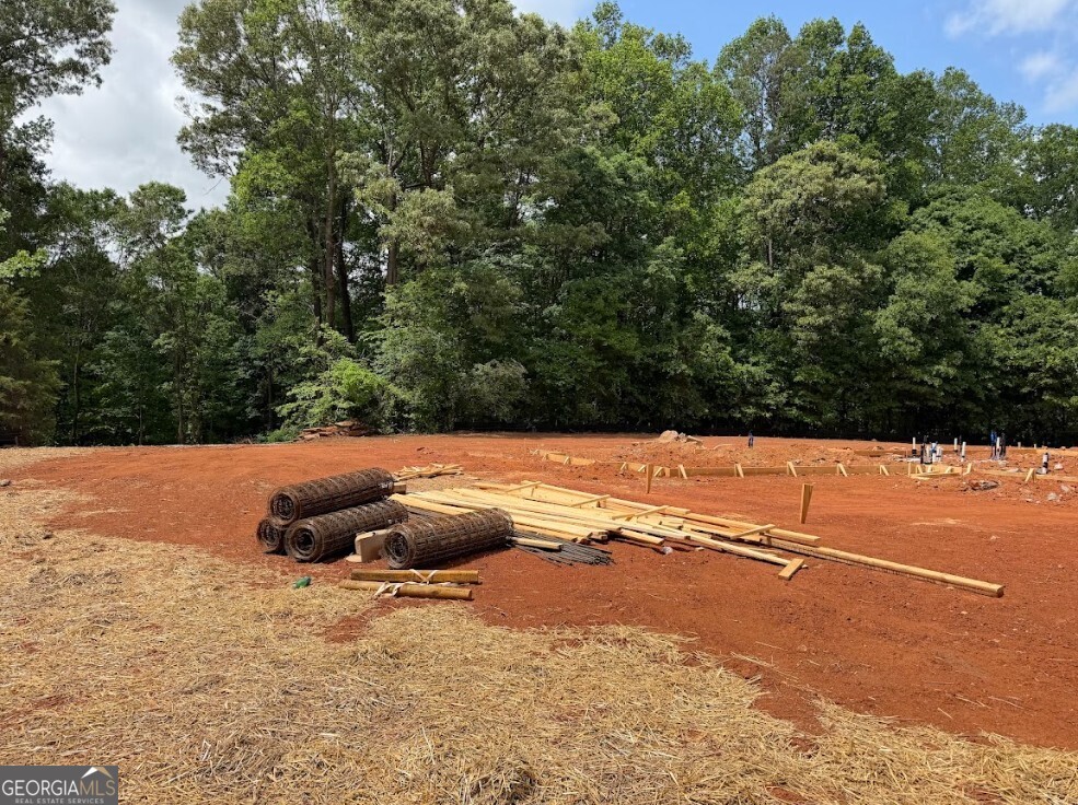 774 Bellamy Road Homer, GA 30547 - Photo 5 of 6