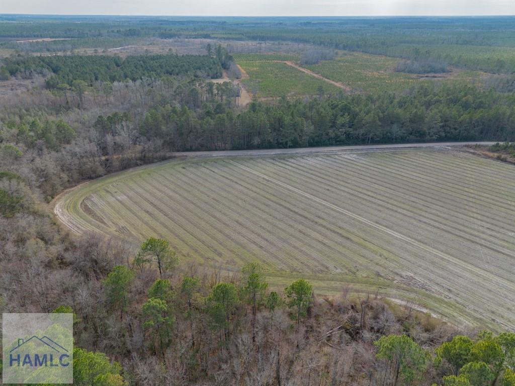 3 Reddish Road Screven, GA 31560 - Photo 31 of 55 Gallery Image 31