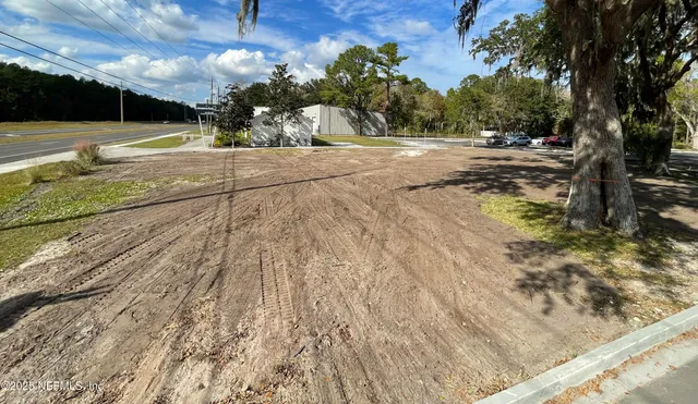 a view of a tree in the middle of a yard