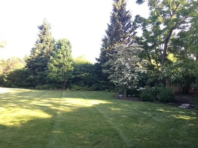 920 Pine Tree Lane Winnetka, IL 60093 - Photo 55 of 59 a view of a swimming pool and a yard
