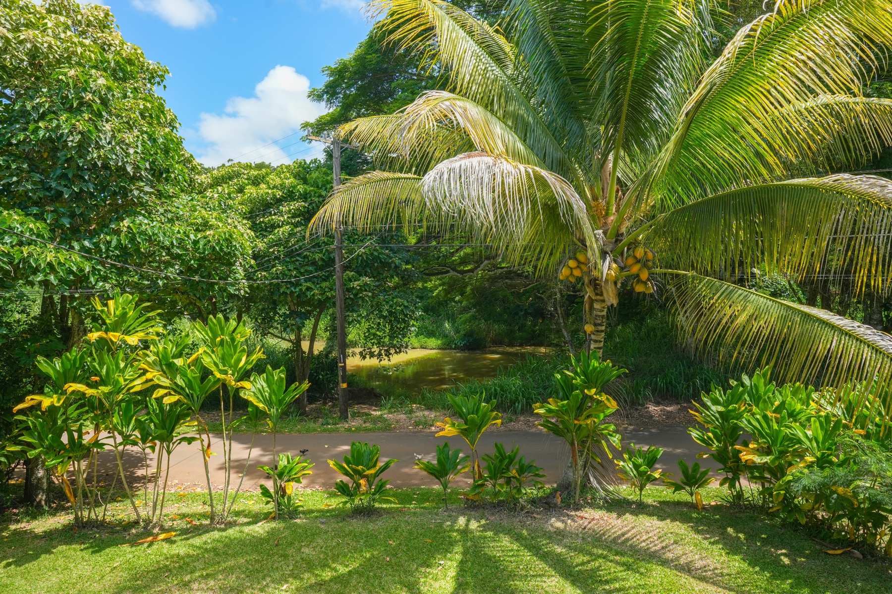 5601 Hauaala Road Kapaa, HI 96746 - Photo 18 of 28 Gallery Image 18