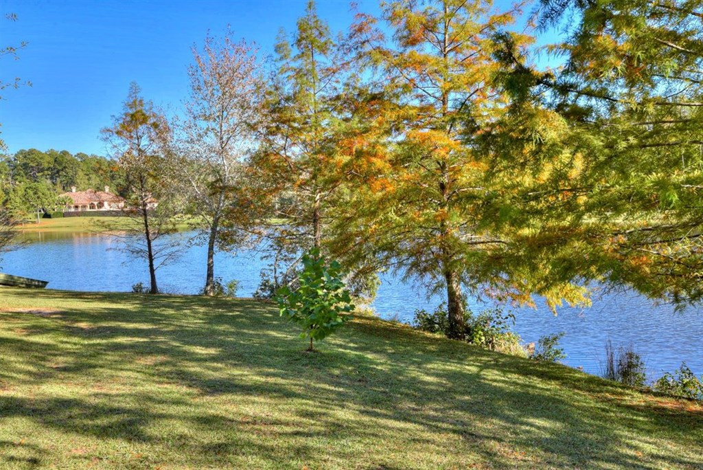 6552 Reservoir Road Appling, GA 30802 - Photo 71 of 75
