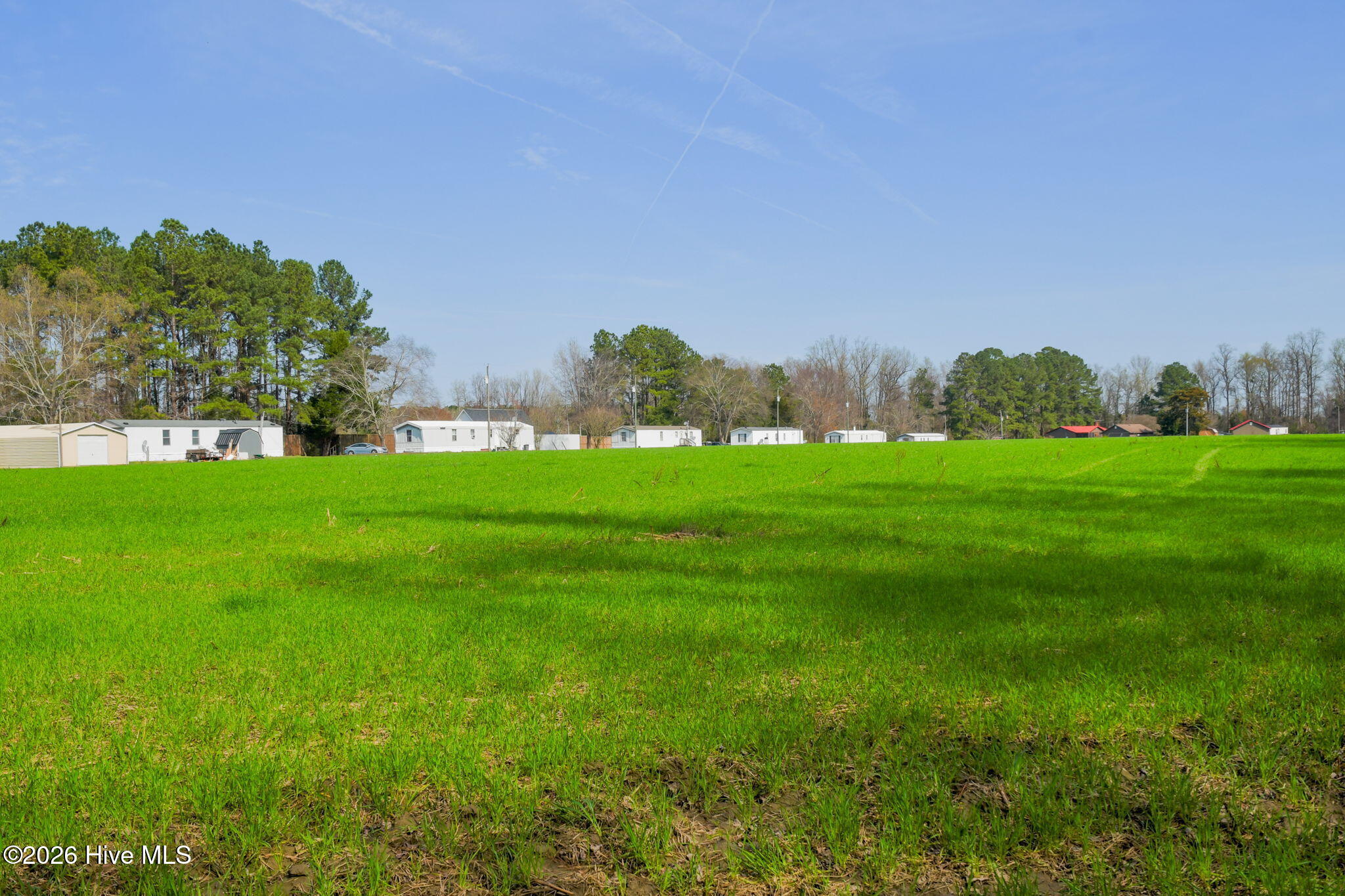 0 Gourd Hill Road Wallace, NC 28466 - Photo 11 of 17 15-web-or-mls-Gourd Hill Rd Farm-115