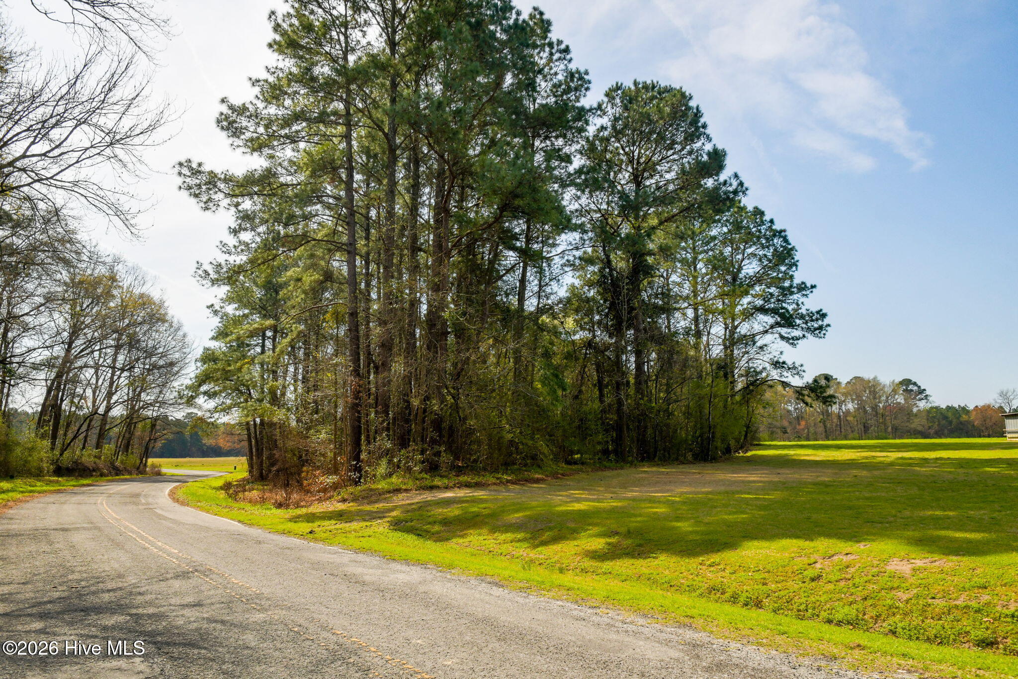 0 Gourd Hill Road Wallace, NC 28466 - Photo 12 of 17 16-web-or-mls-Gourd Hill Rd Farm-116