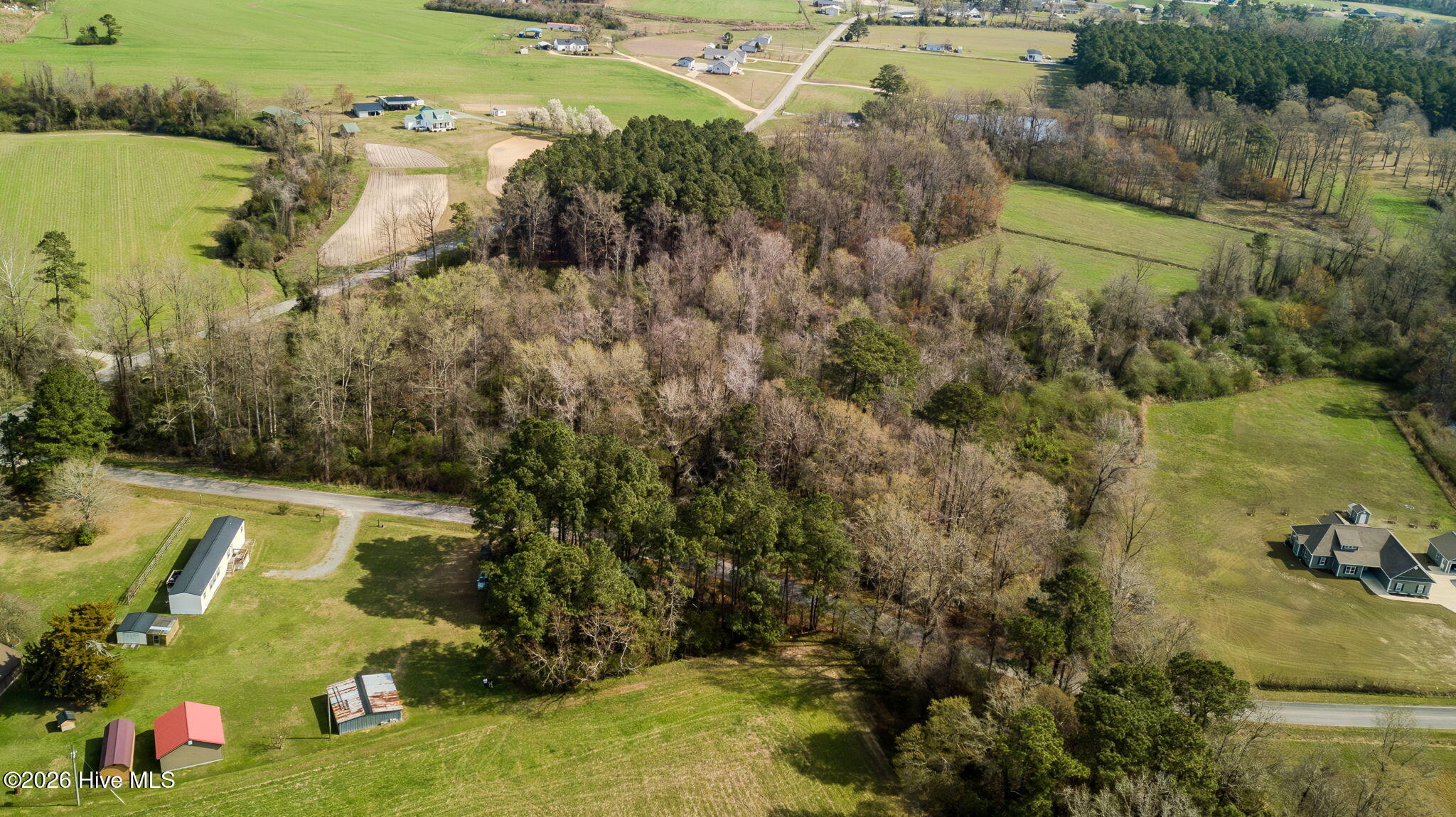 0 Gourd Hill Road Wallace, NC 28466 - Photo 16 of 17 25-web-or-mls-Gourd Hill Rd Farm-125