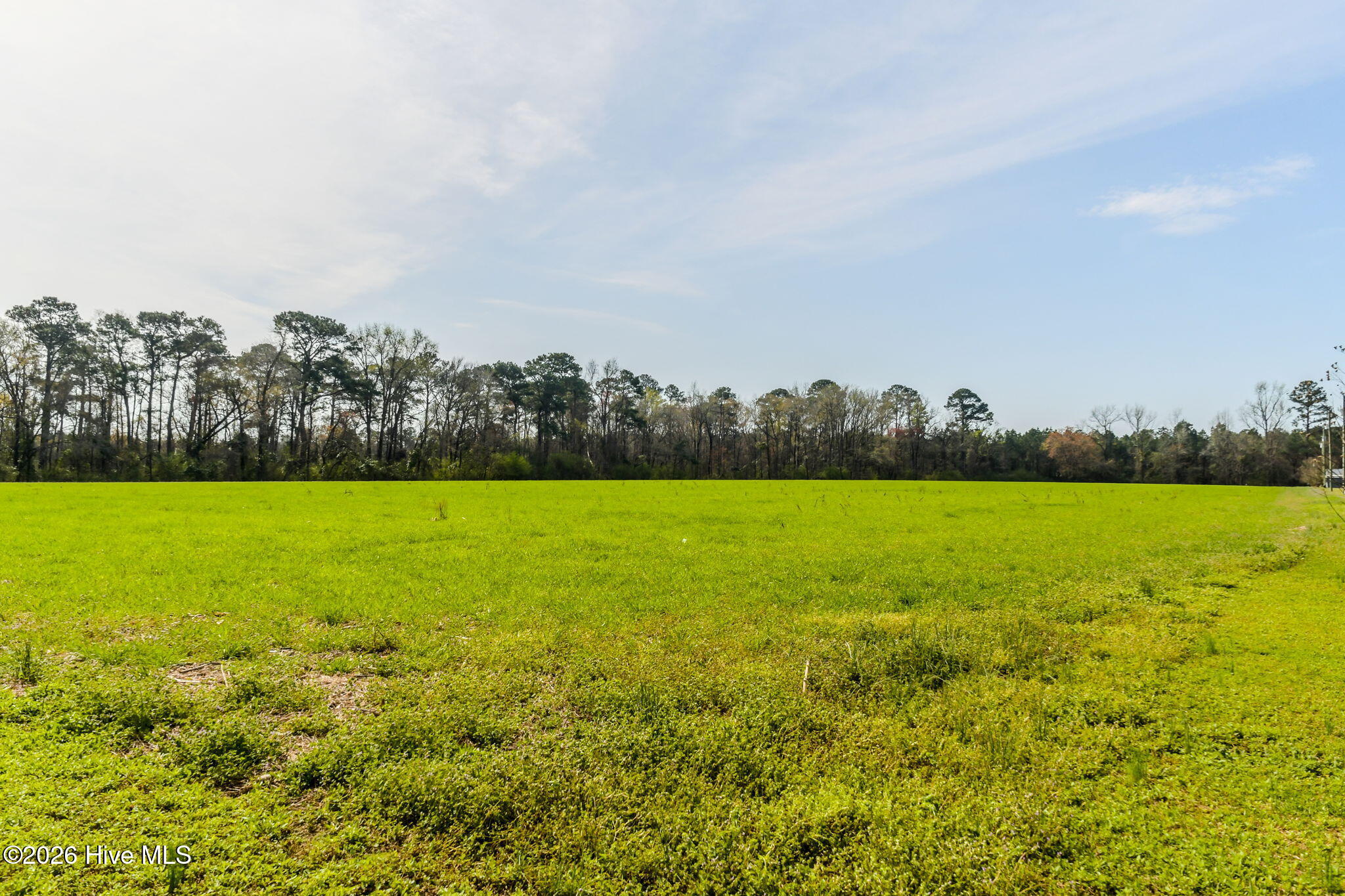 0 Gourd Hill Road Wallace, NC 28466 - Photo 3 of 17 1-web-or-mls-Gourd Hill Rd Farm-101