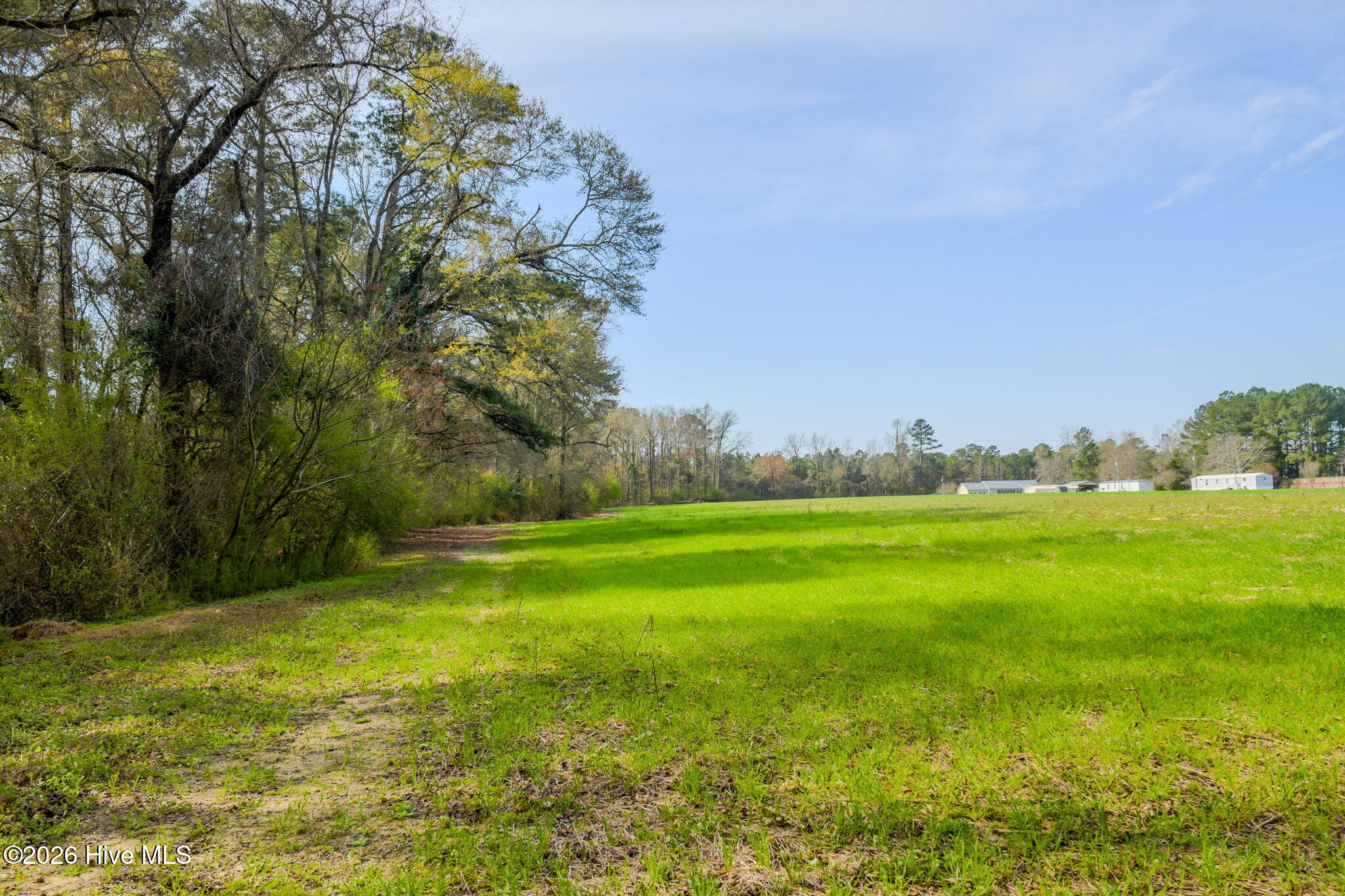 0 Gourd Hill Road Wallace, NC 28466 - Photo 4 of 17 3-web-or-mls-Gourd Hill Rd Farm-103