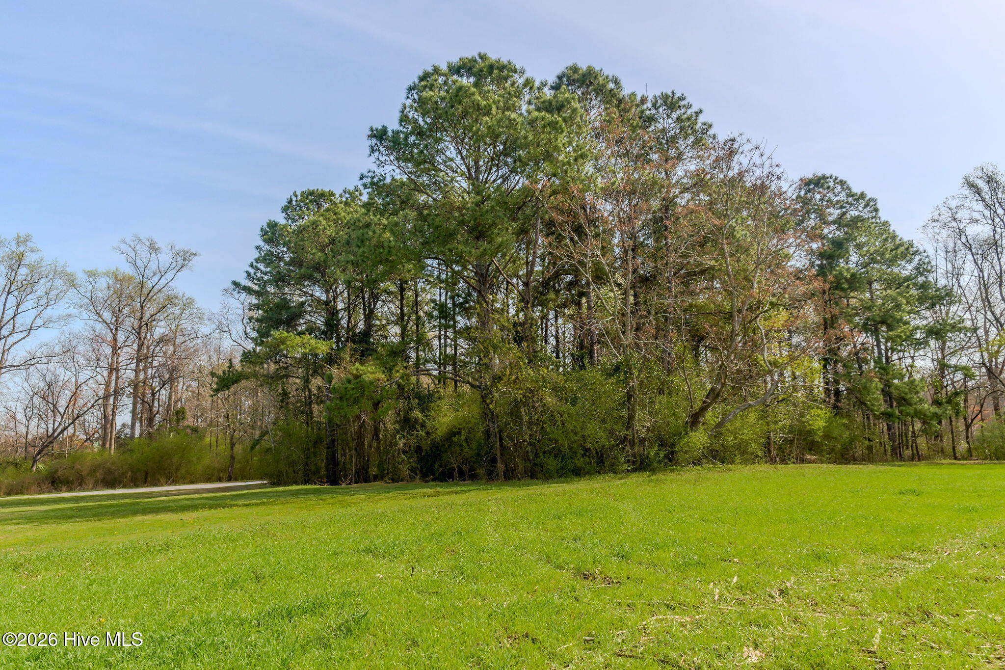 0 Gourd Hill Road Wallace, NC 28466 - Photo 5 of 17 6-web-or-mls-Gourd Hill Rd Farm-106