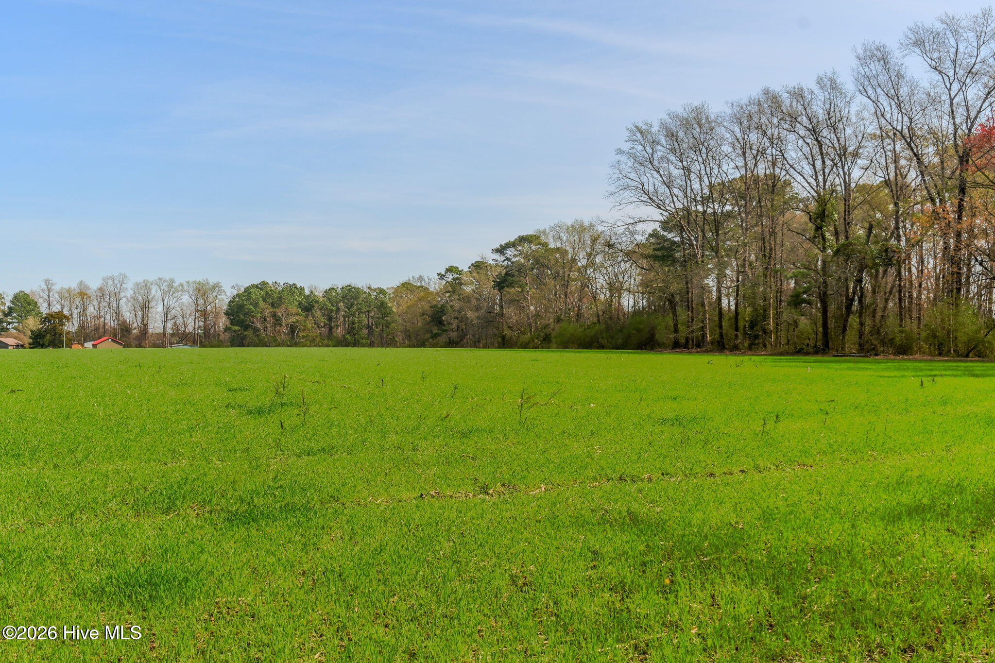 0 Gourd Hill Road Wallace, NC 28466 - Photo 6 of 17 10-web-or-mls-Gourd Hill Rd Farm-110