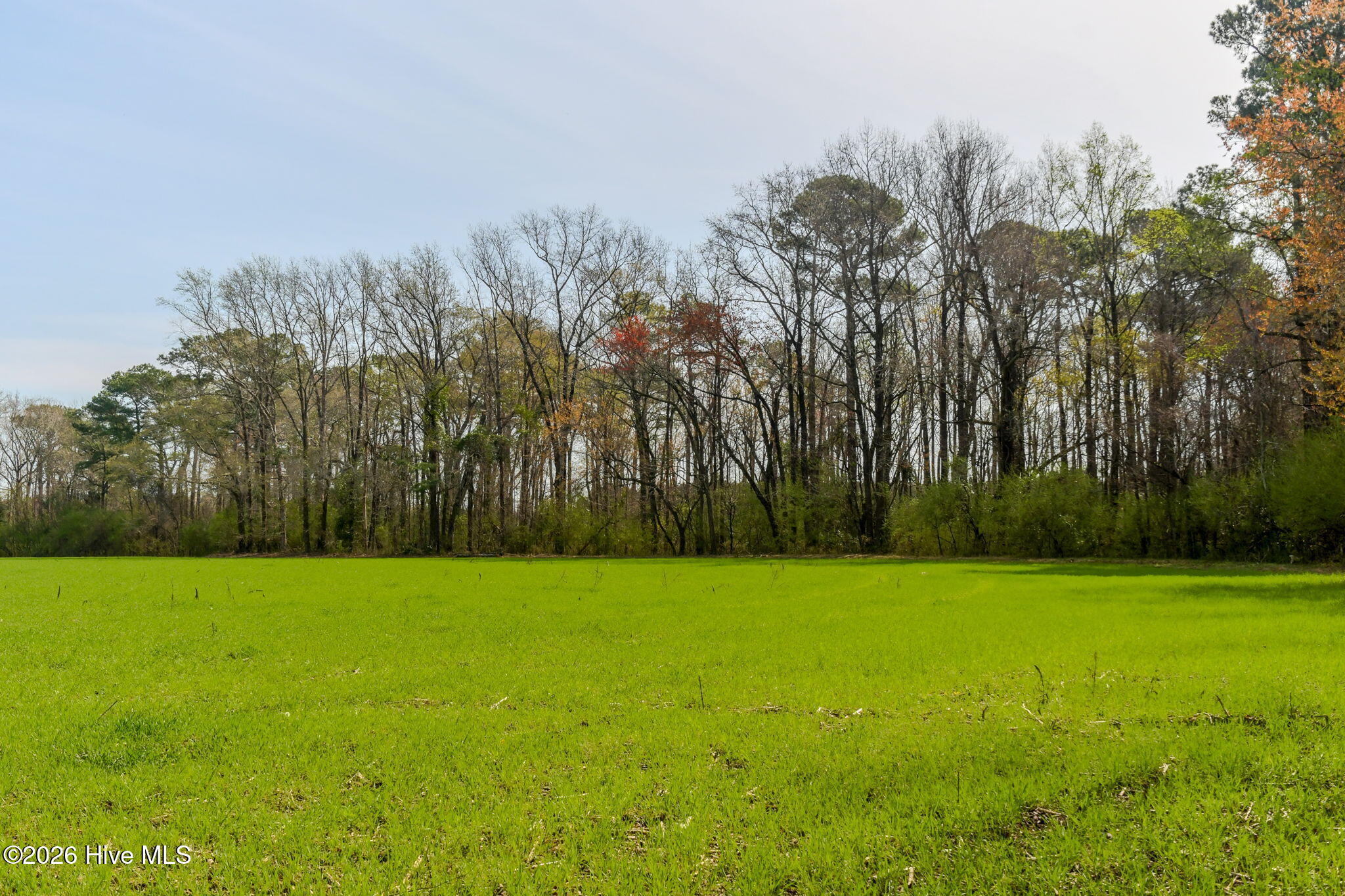 0 Gourd Hill Road Wallace, NC 28466 - Photo 7 of 17 11-web-or-mls-Gourd Hill Rd Farm-111 - C