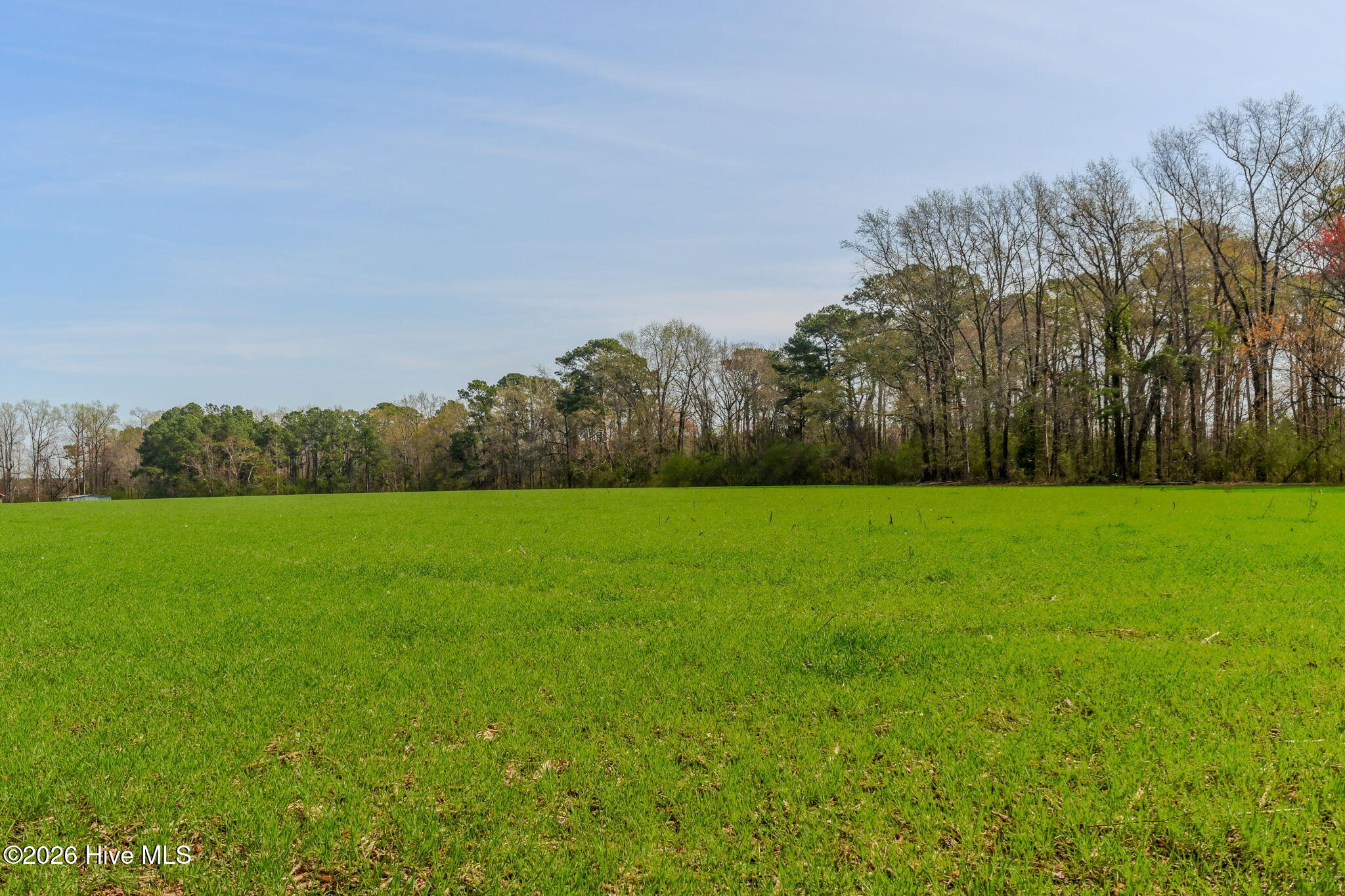 0 Gourd Hill Road Wallace, NC 28466 - Photo 8 of 17 12-web-or-mls-Gourd Hill Rd Farm-112