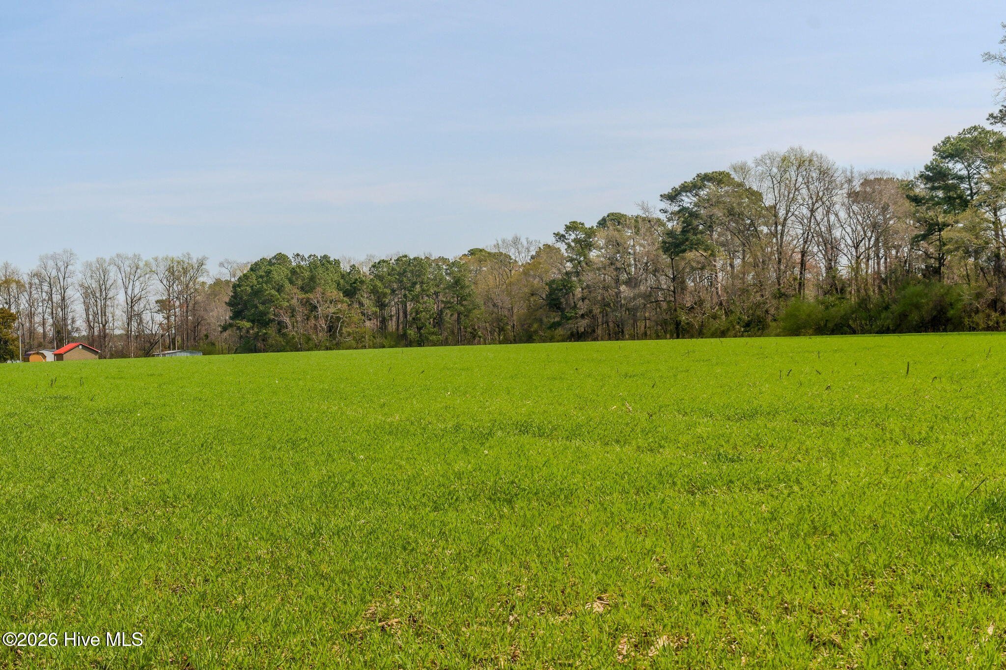 0 Gourd Hill Road Wallace, NC 28466 - Photo 9 of 17 13-web-or-mls-Gourd Hill Rd Farm-113