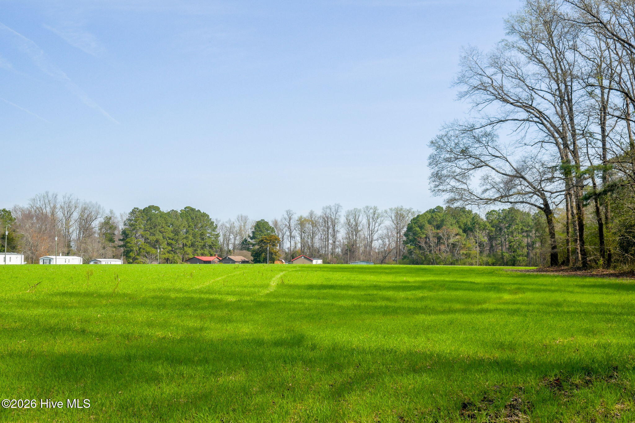 0 Gourd Hill Road Wallace, NC 28466 - Photo 10 of 17 14-web-or-mls-Gourd Hill Rd Farm-114