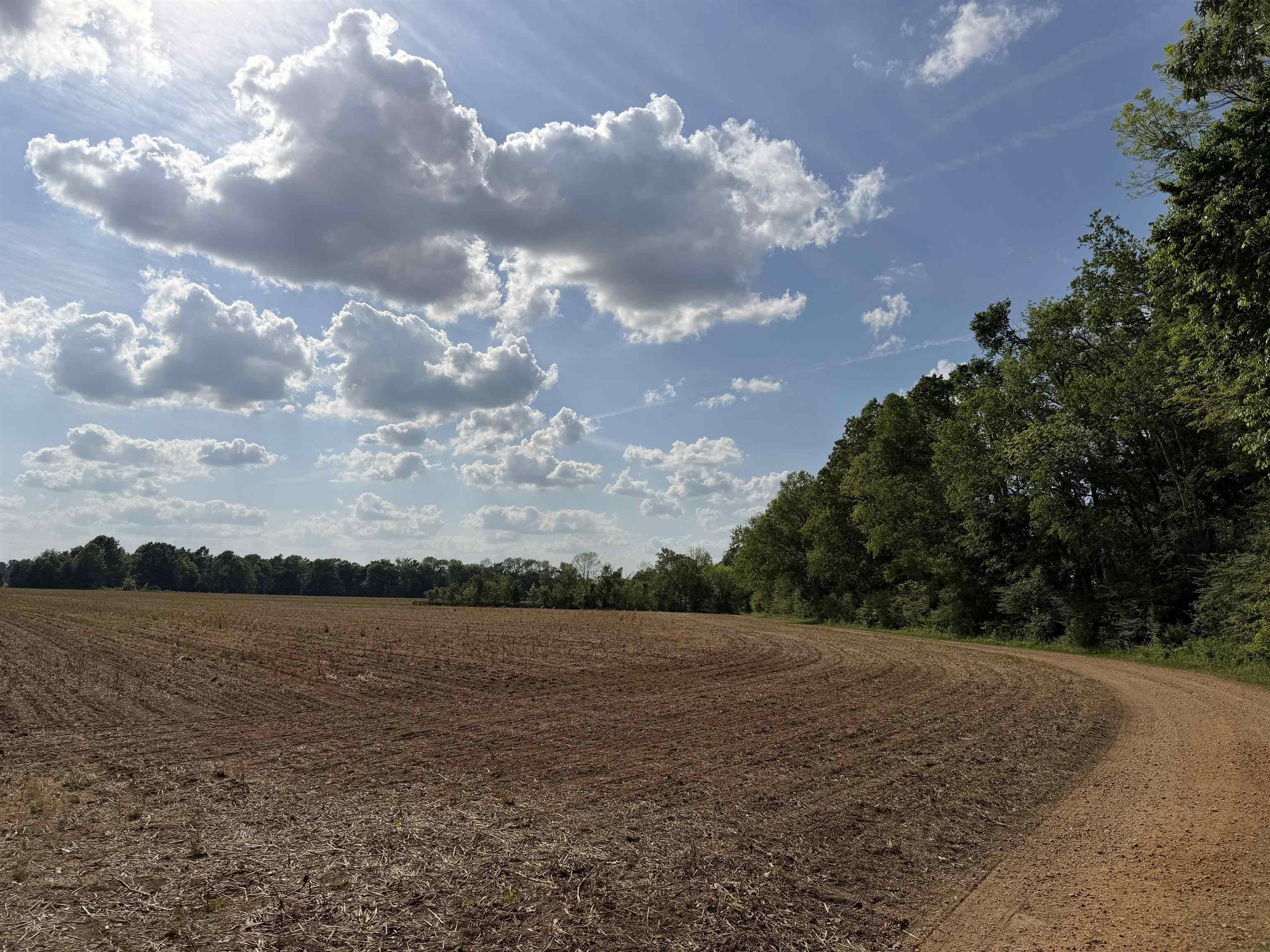 859 Cravens Road Savannah, TN 38372 - Photo 15 of 40 a view of lake and mountain