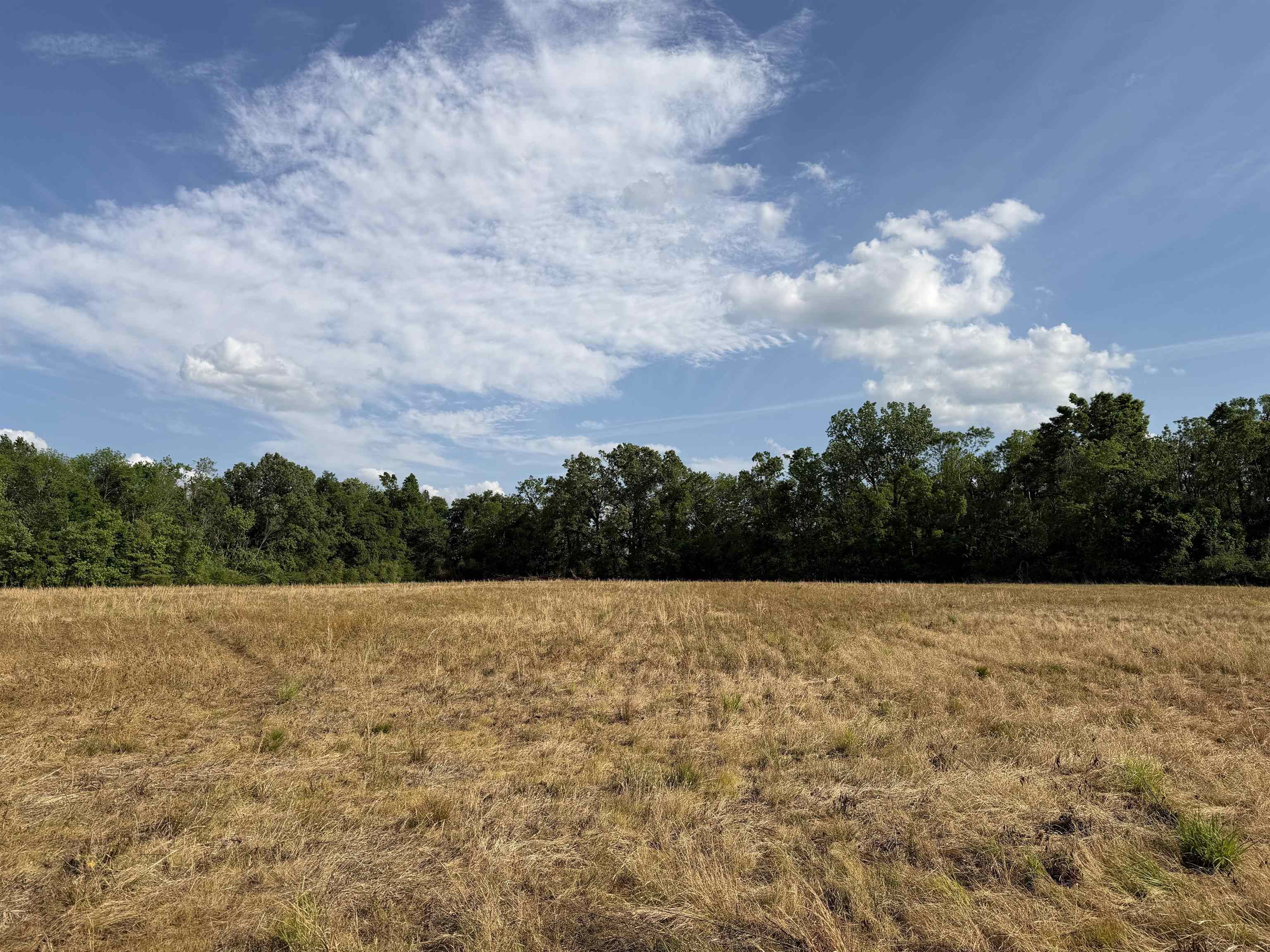 859 Cravens Road Savannah, TN 38372 - Photo 22 of 40 a view of outdoor space and mountain view