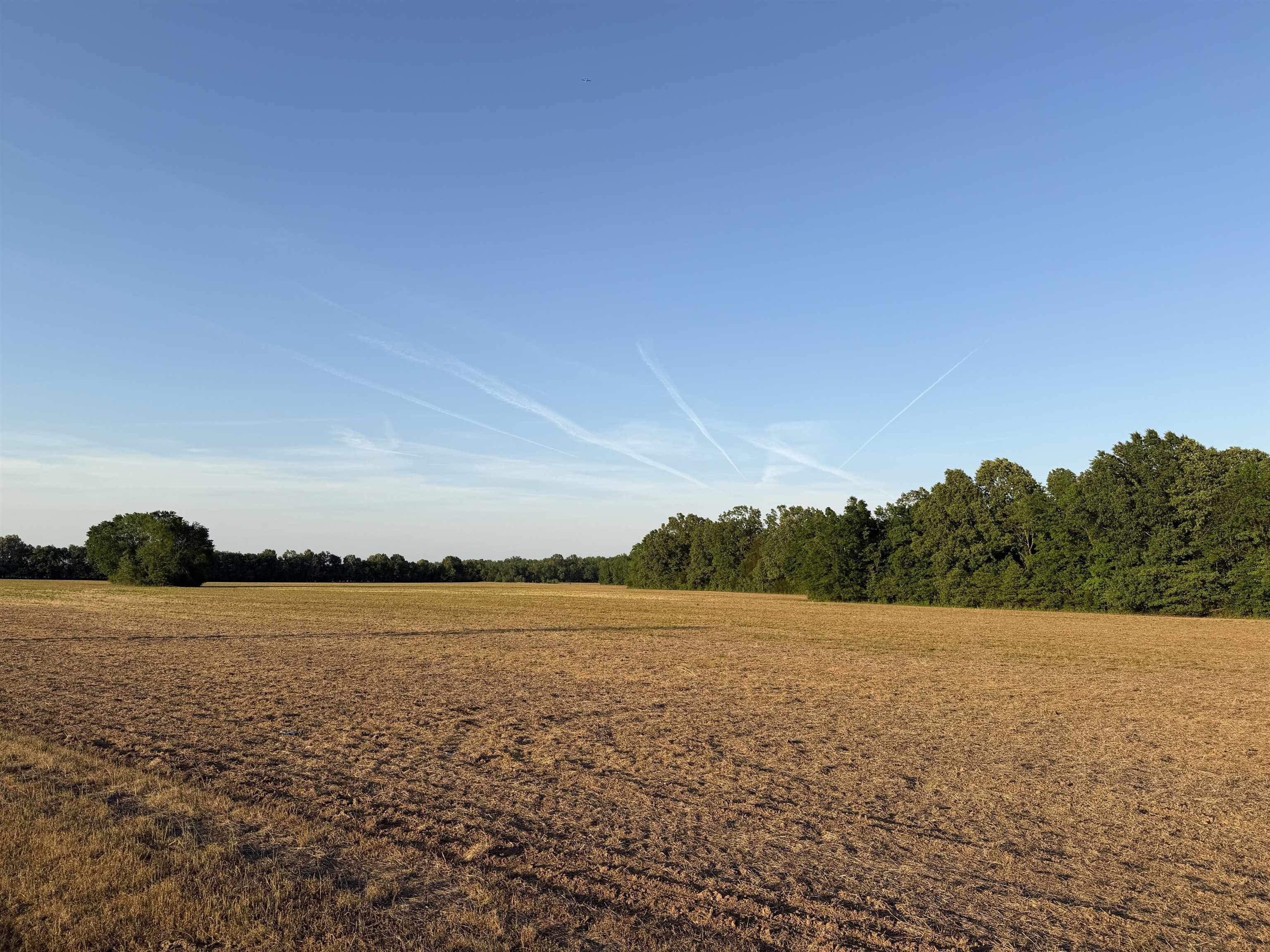 859 Cravens Road Savannah, TN 38372 - Photo 26 of 40 a view of outside space and a lake view