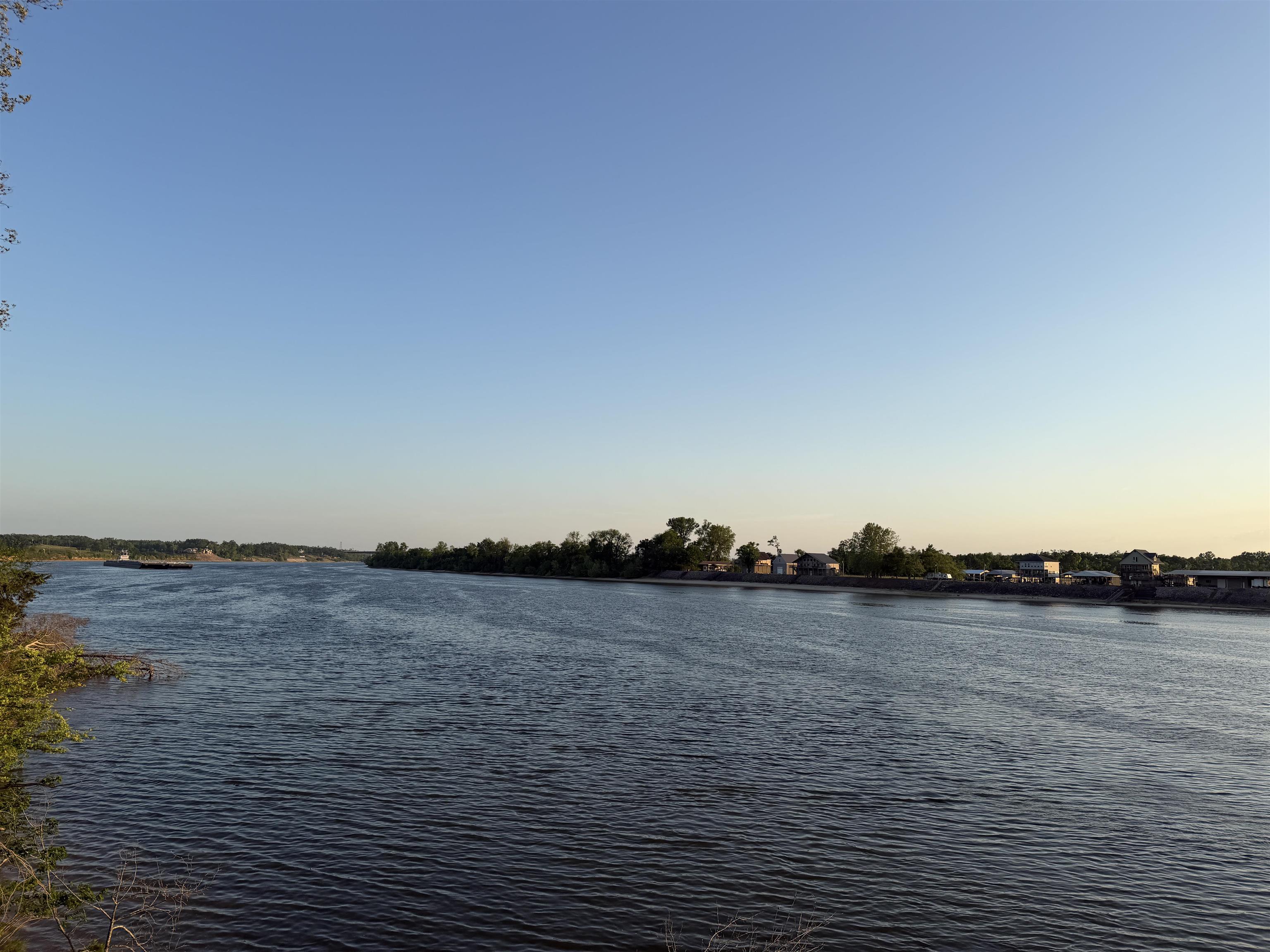 859 Cravens Road Savannah, TN 38372 - Photo 27 of 40 a view of an ocean beach and beach