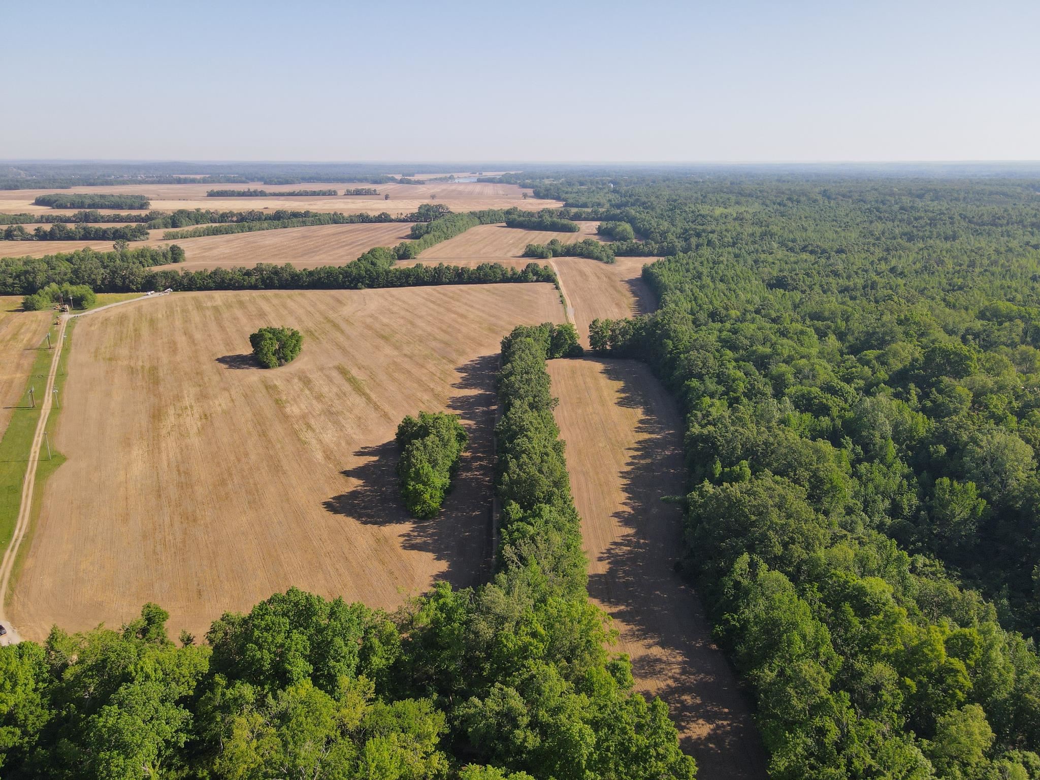 859 Cravens Road Savannah, TN 38372 - Photo 28 of 40 an aerial view of a city
