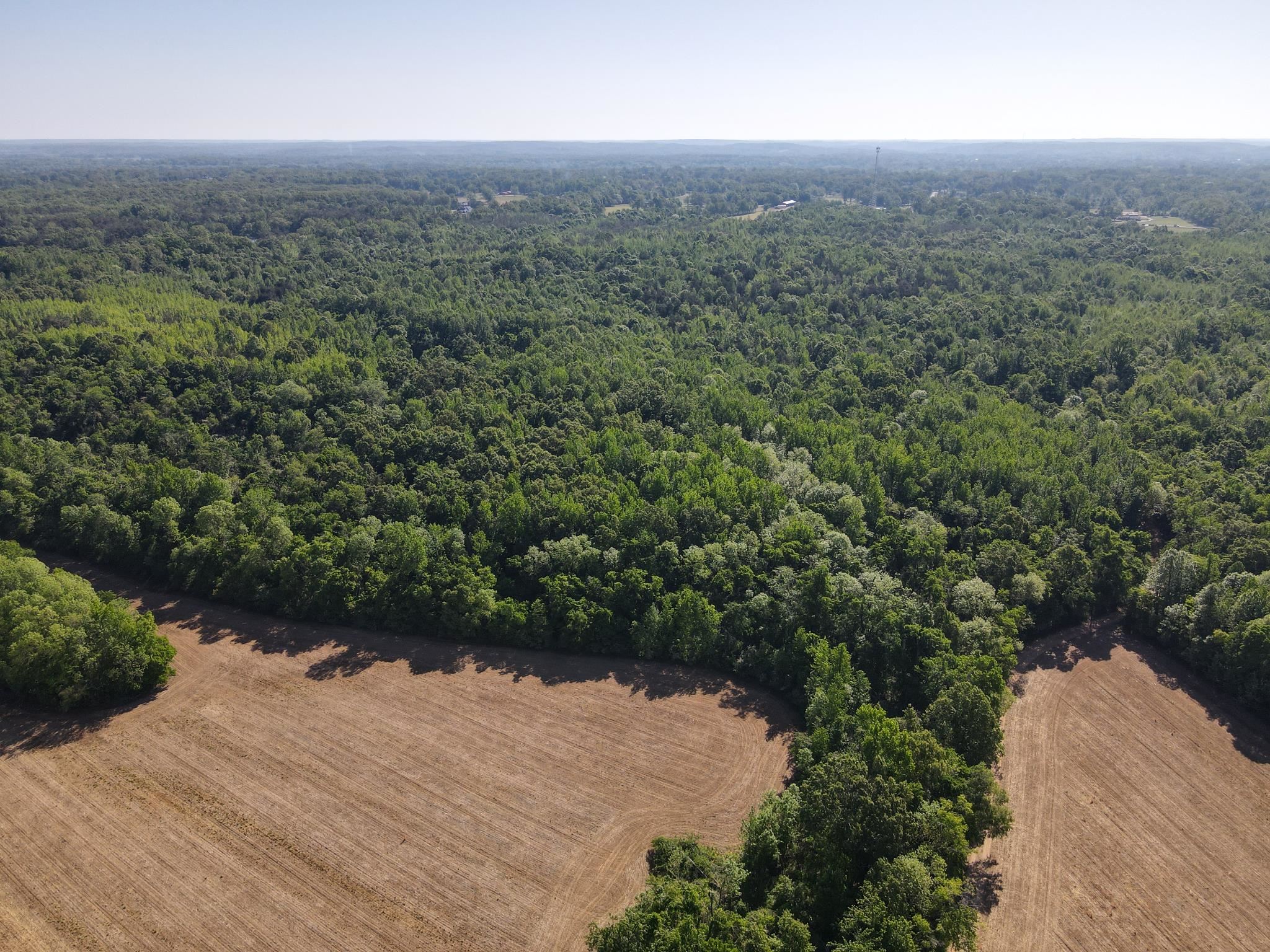 859 Cravens Road Savannah, TN 38372 - Photo 36 of 40 an aerial view of a house with a yard