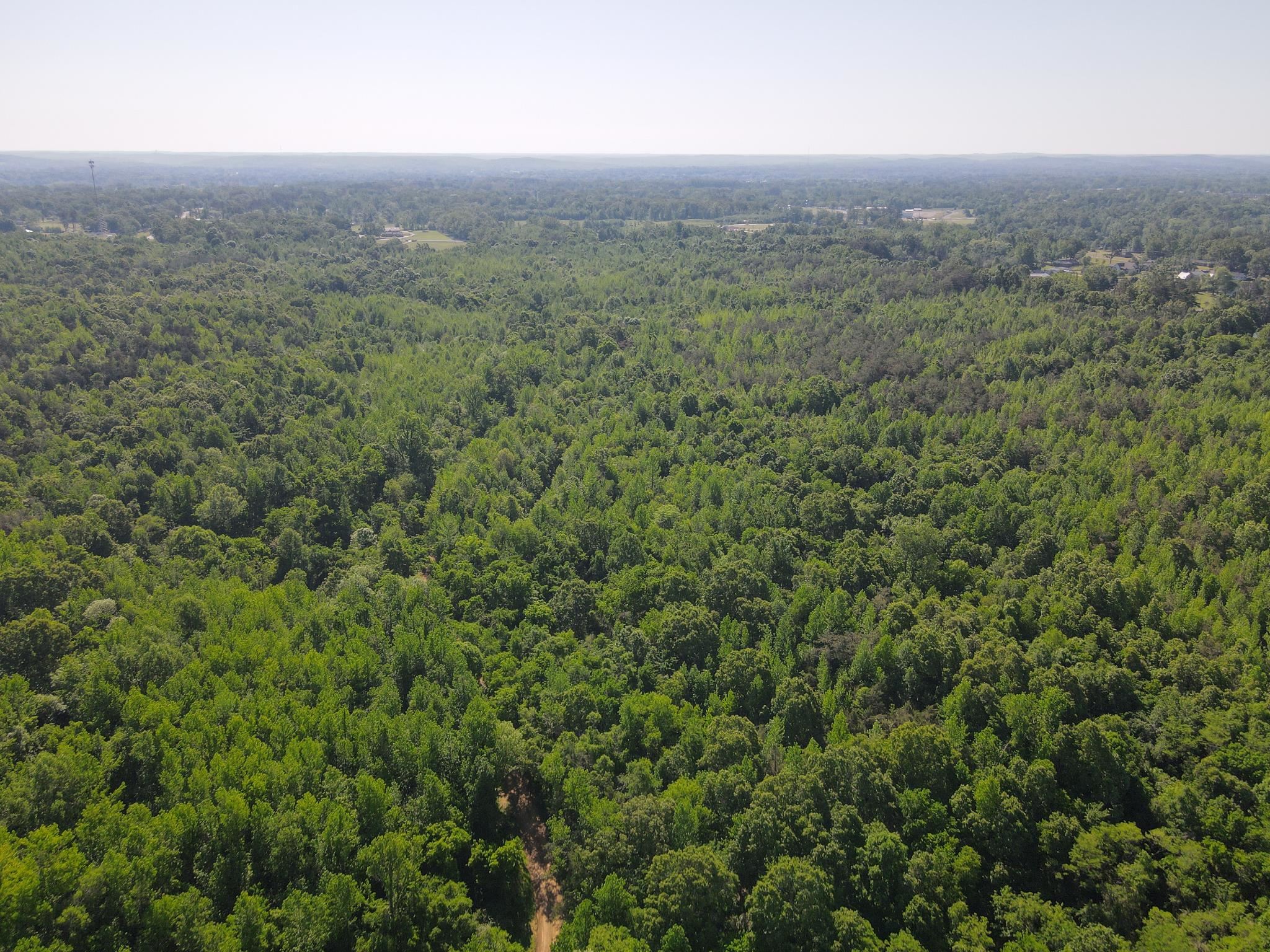 859 Cravens Road Savannah, TN 38372 - Photo 37 of 40 an aerial view of houses covered in trees