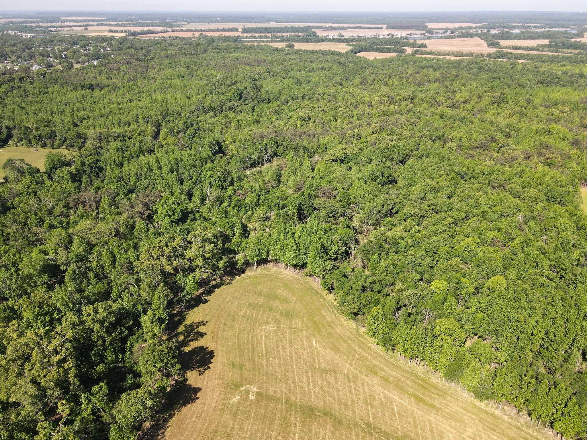859 Cravens Road Savannah, TN 38372 - Photo 38 of 40 a view of a field with an ocean