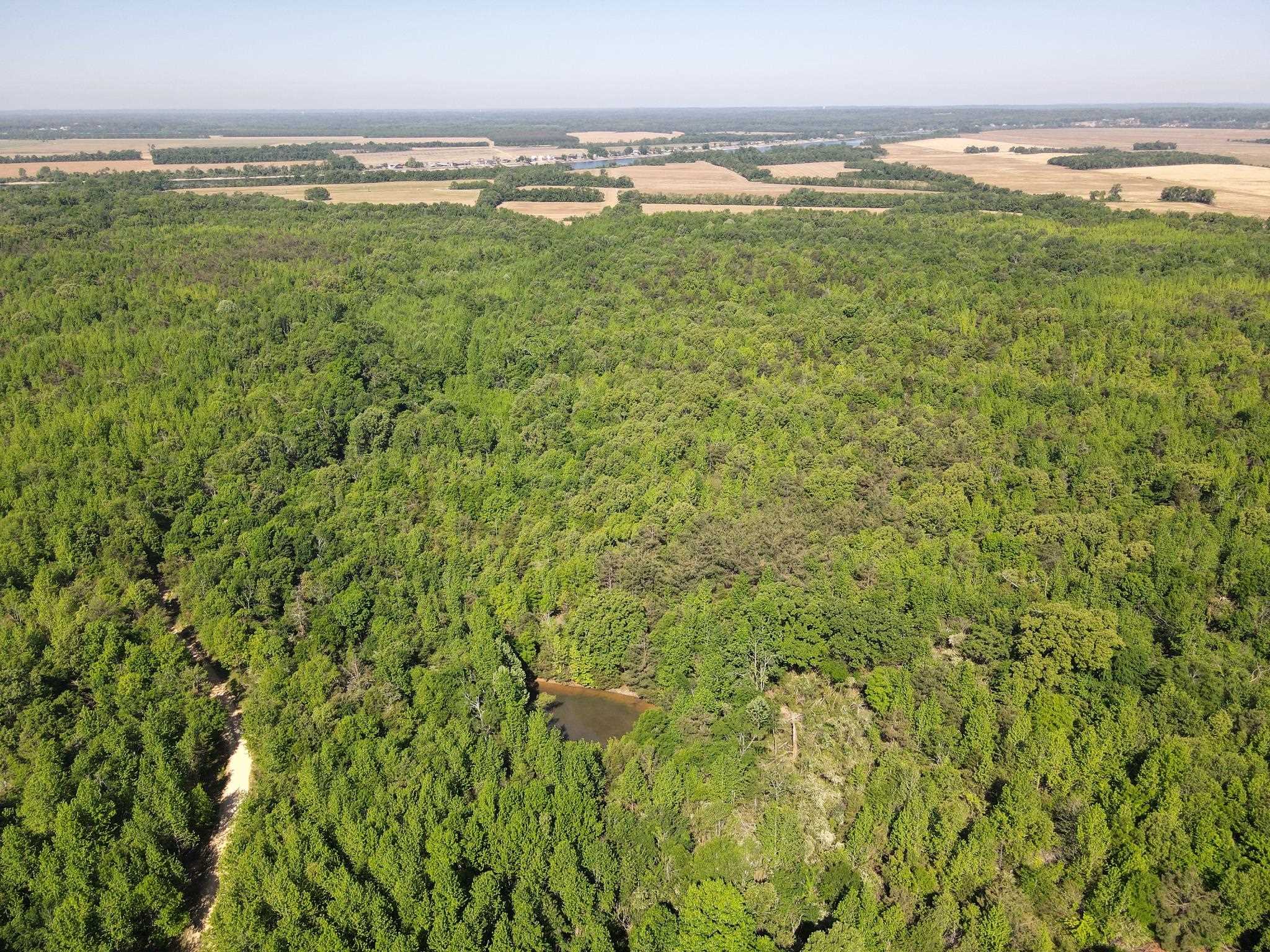 859 Cravens Road Savannah, TN 38372 - Photo 39 of 40 a view of a field with an ocean view