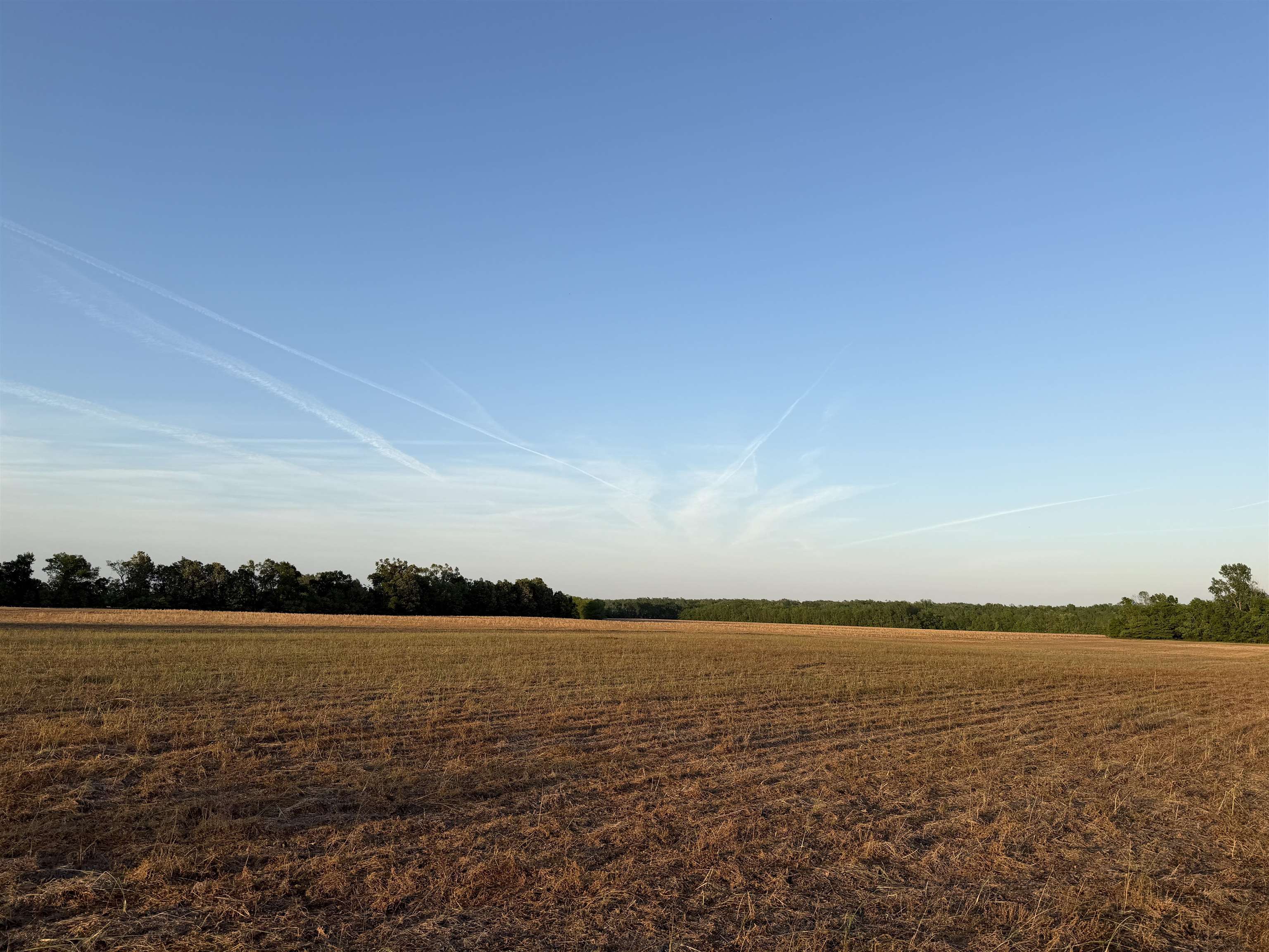 859 Cravens Road Savannah, TN 38372 - Photo 9 of 40 a view of an ocean