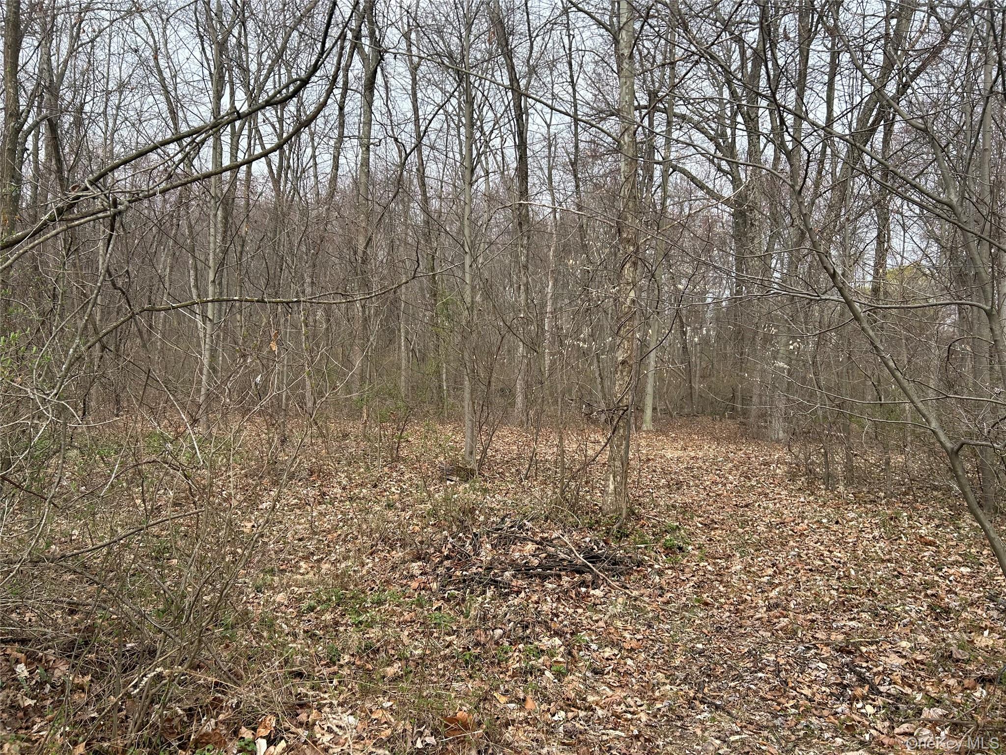 67 North Jackson Road Poughkeepsie, NY 12603 - Photo 11 of 16 a backyard of a house with lots of green space