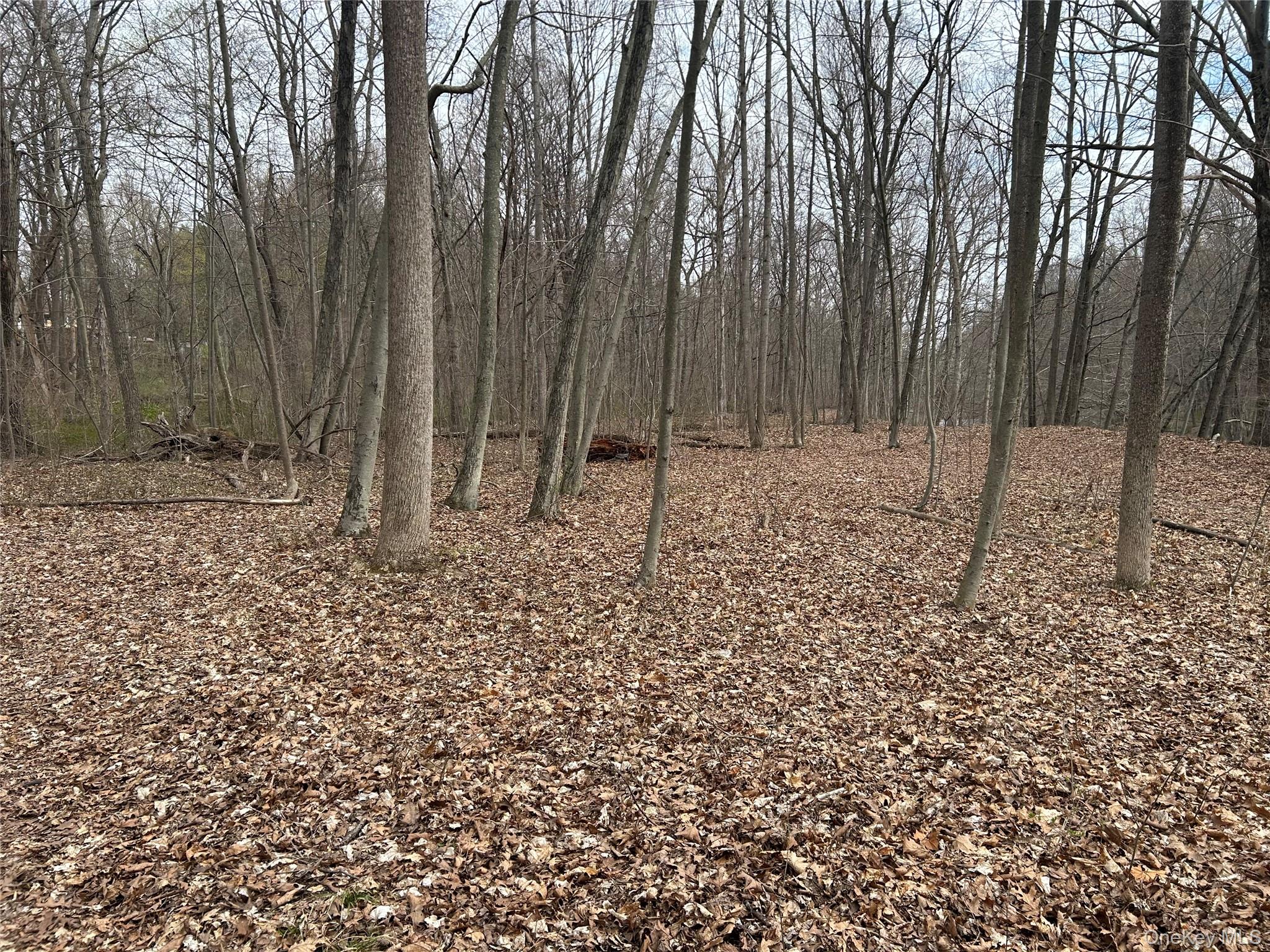 67 North Jackson Road Poughkeepsie, NY 12603 - Photo 14 of 16 a backyard of a house with lots of green space