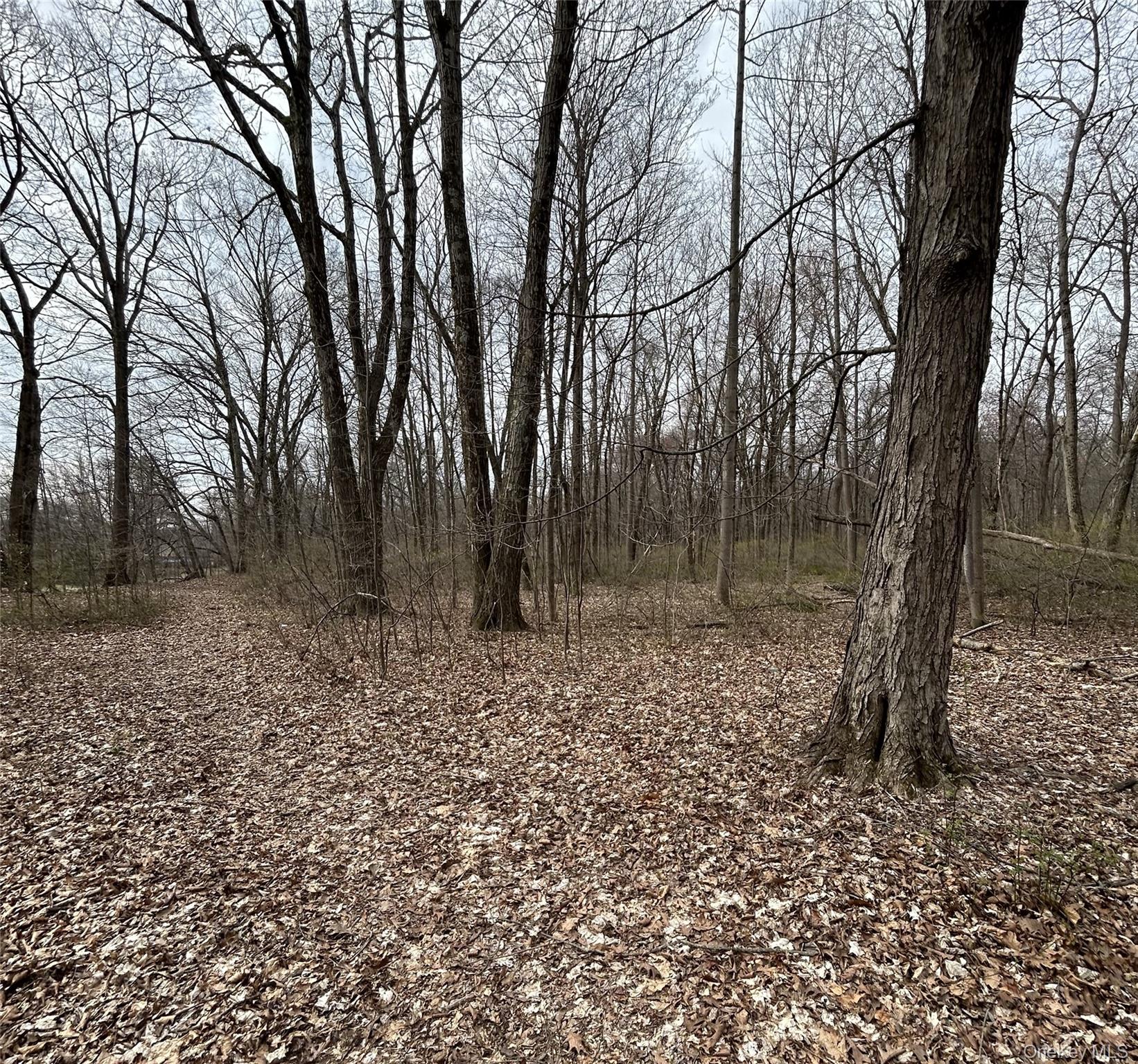 67 North Jackson Road Poughkeepsie, NY 12603 - Photo 15 of 16 a backyard of a house with lots of green space