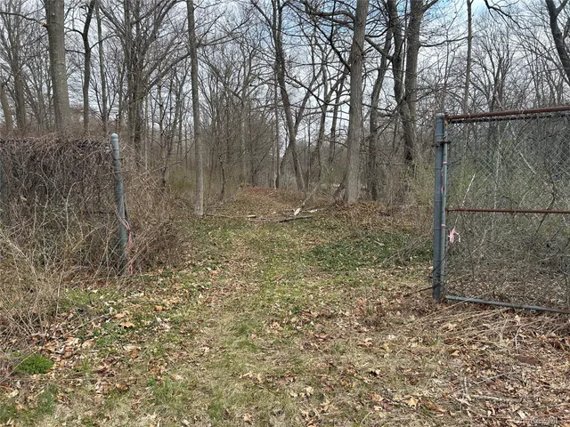 a view of a yard with trees in the background