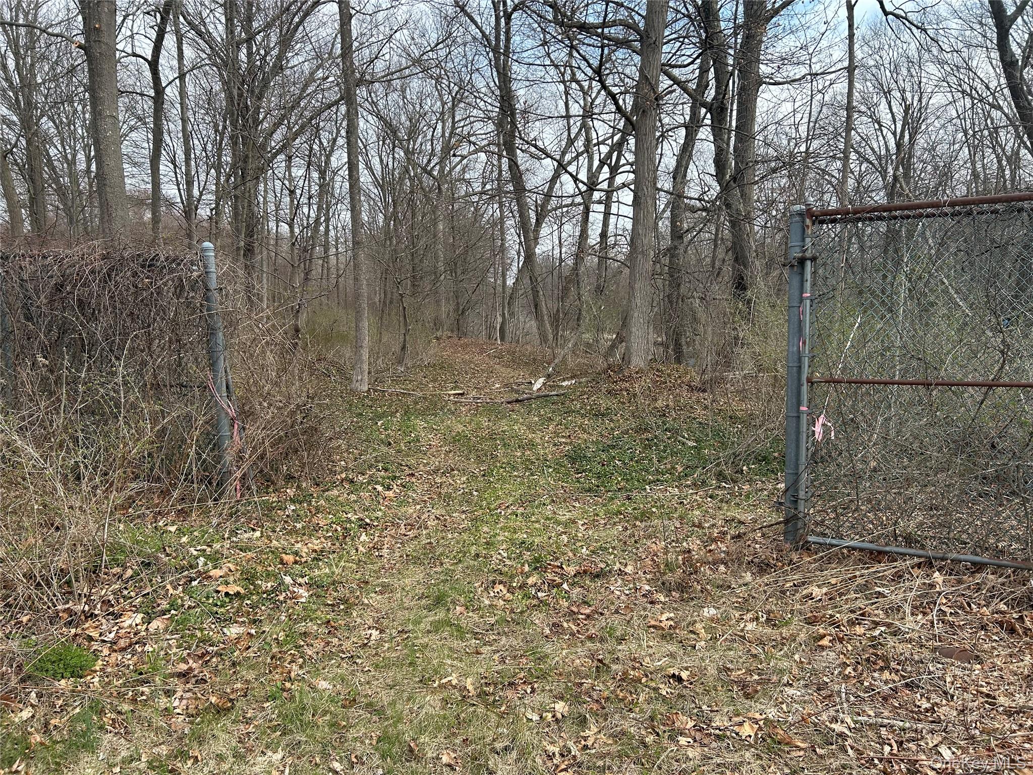 67 North Jackson Road Poughkeepsie, NY 12603 - Photo 2 of 16 a view of a yard with trees in the background