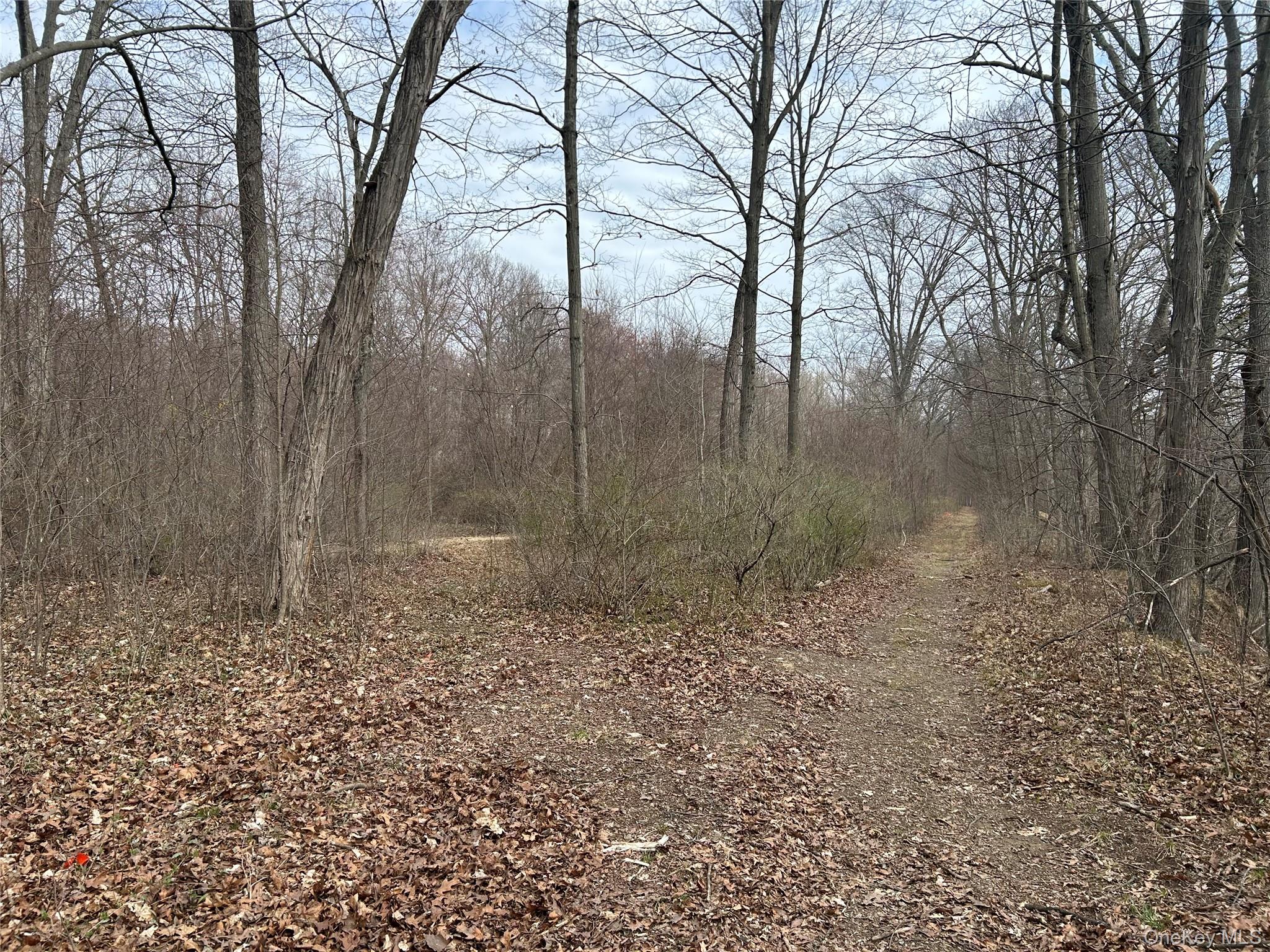 67 North Jackson Road Poughkeepsie, NY 12603 - Photo 3 of 16 a view of a yard with trees
