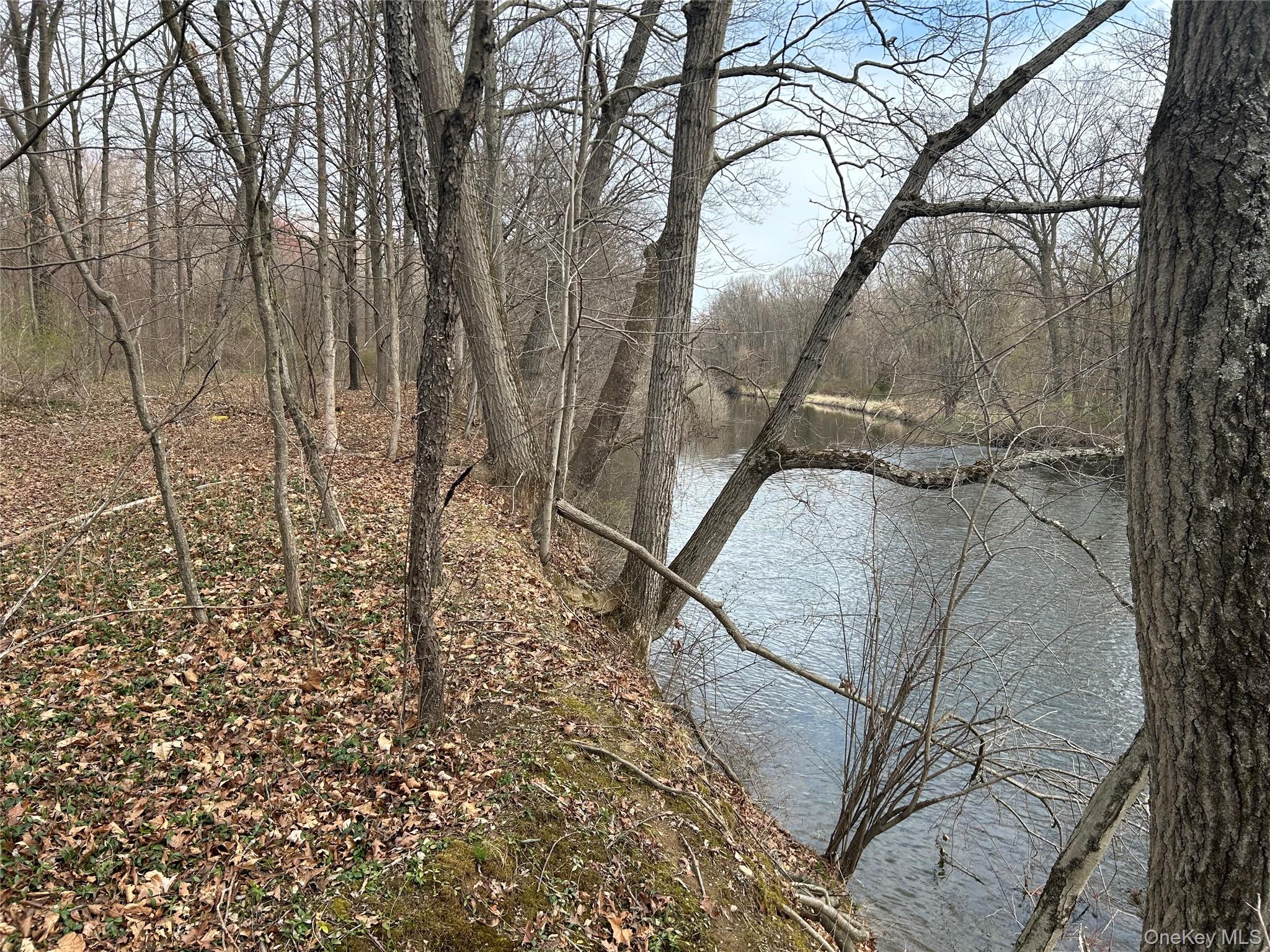 67 North Jackson Road Poughkeepsie, NY 12603 - Photo 4 of 16 a backyard of a house