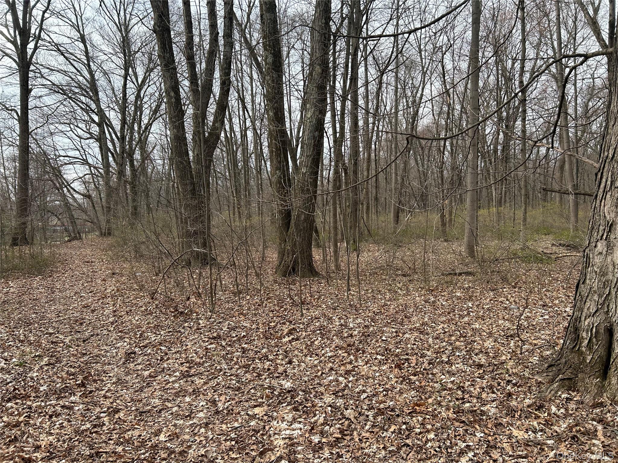 67 North Jackson Road Poughkeepsie, NY 12603 - Photo 5 of 16 a backyard of a house with lots of green space