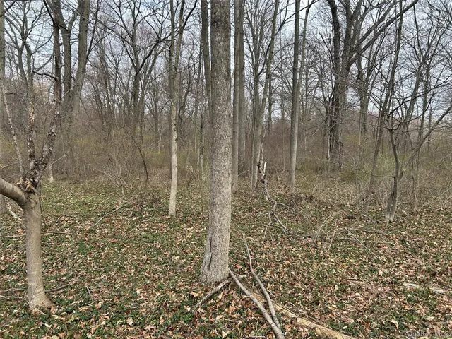a view of backyard with green space