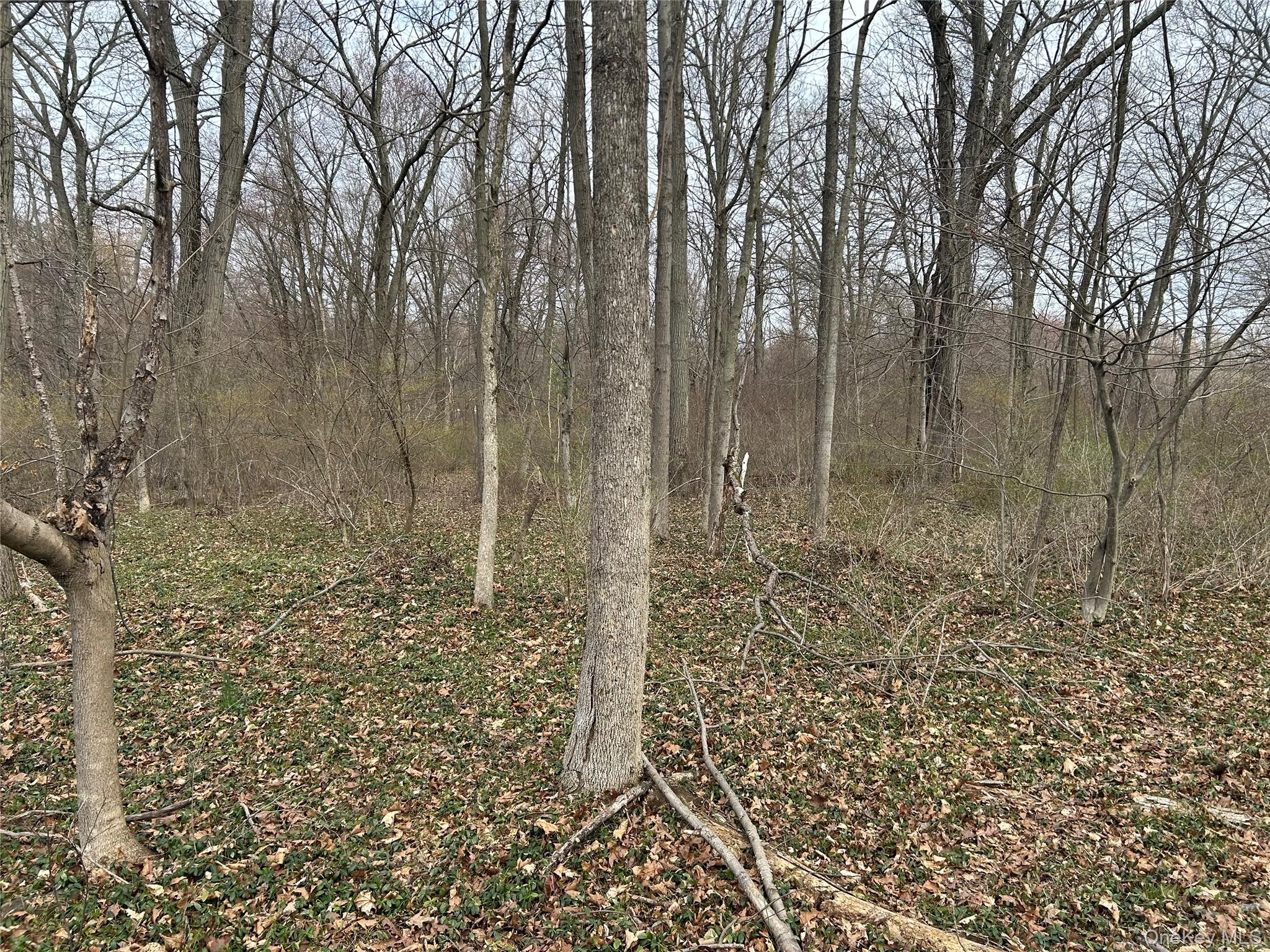 67 North Jackson Road Poughkeepsie, NY 12603 - Photo 7 of 16 a view of a pathway with a yard
